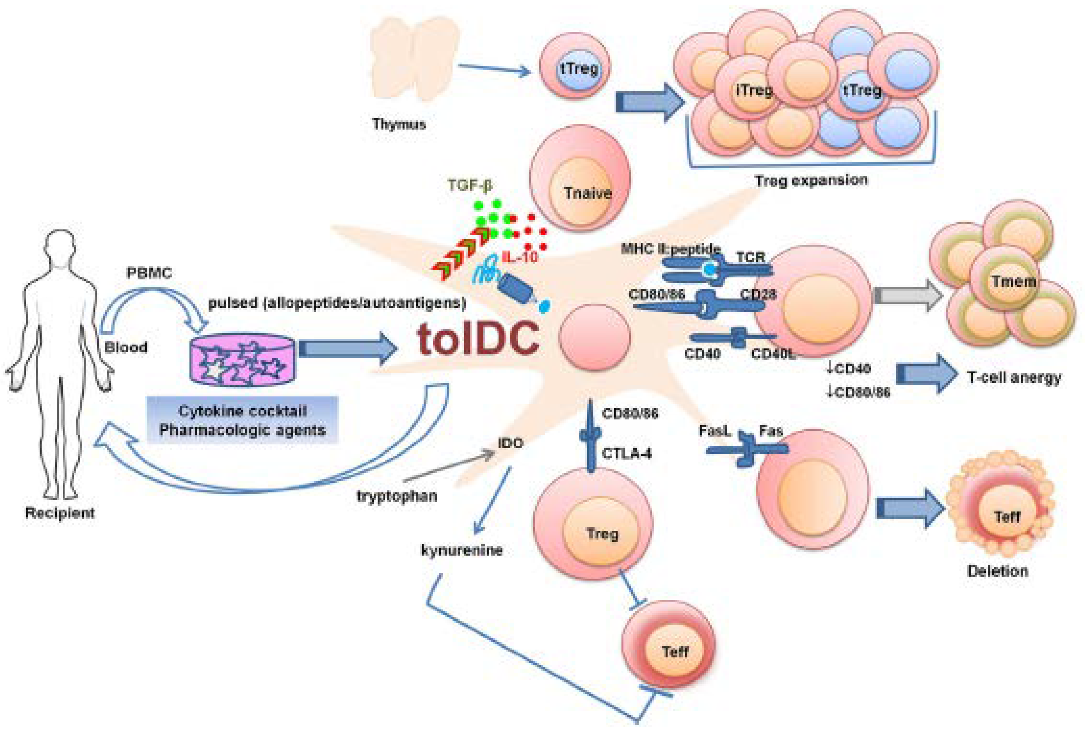 Brainsci 10 00333 g008 Brainsci 10 00333 g008