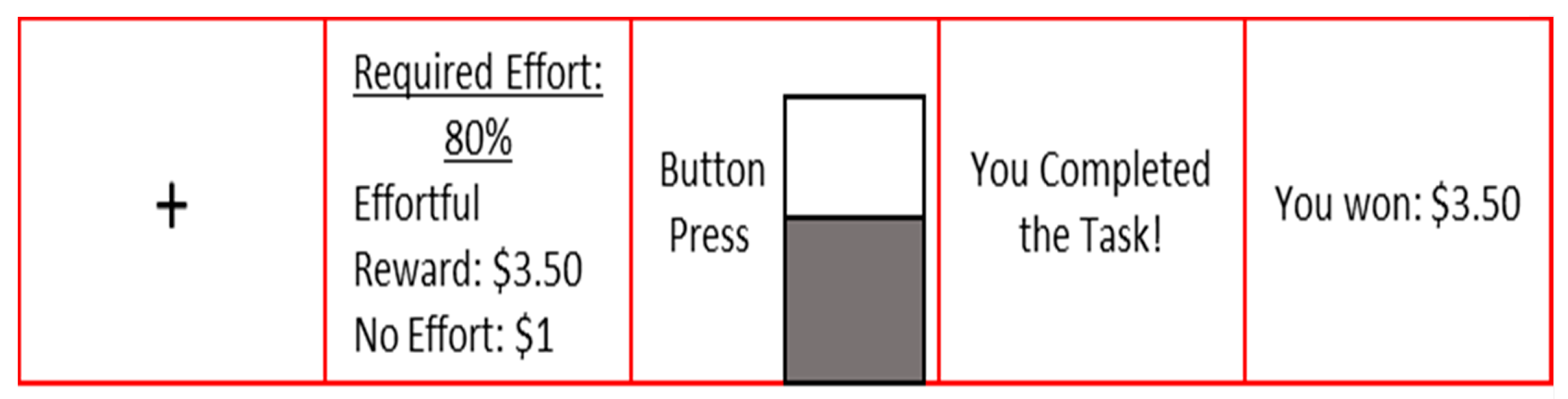 Brainsci 10 00347 g002