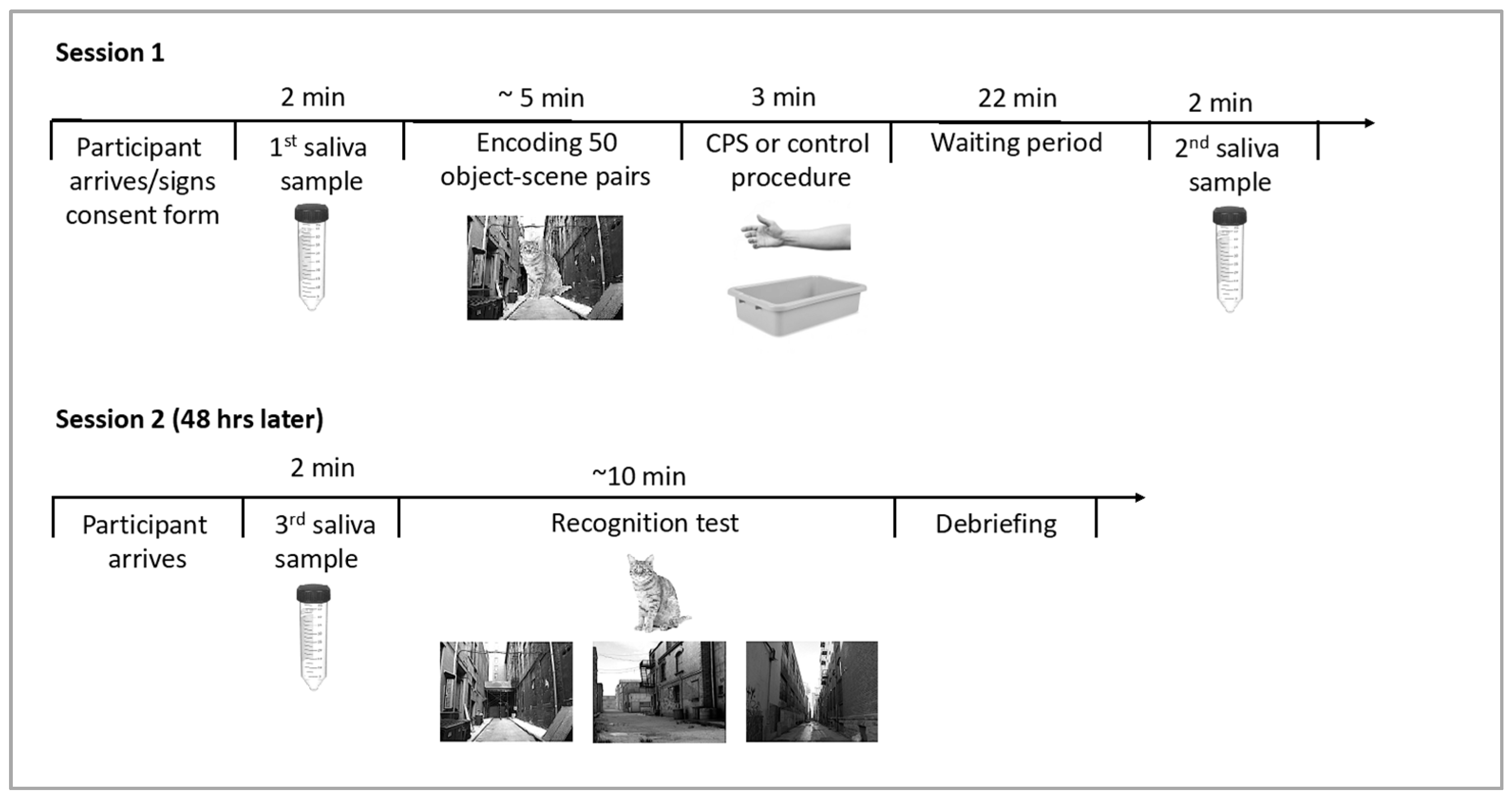 Brainsci 10 00358 g002