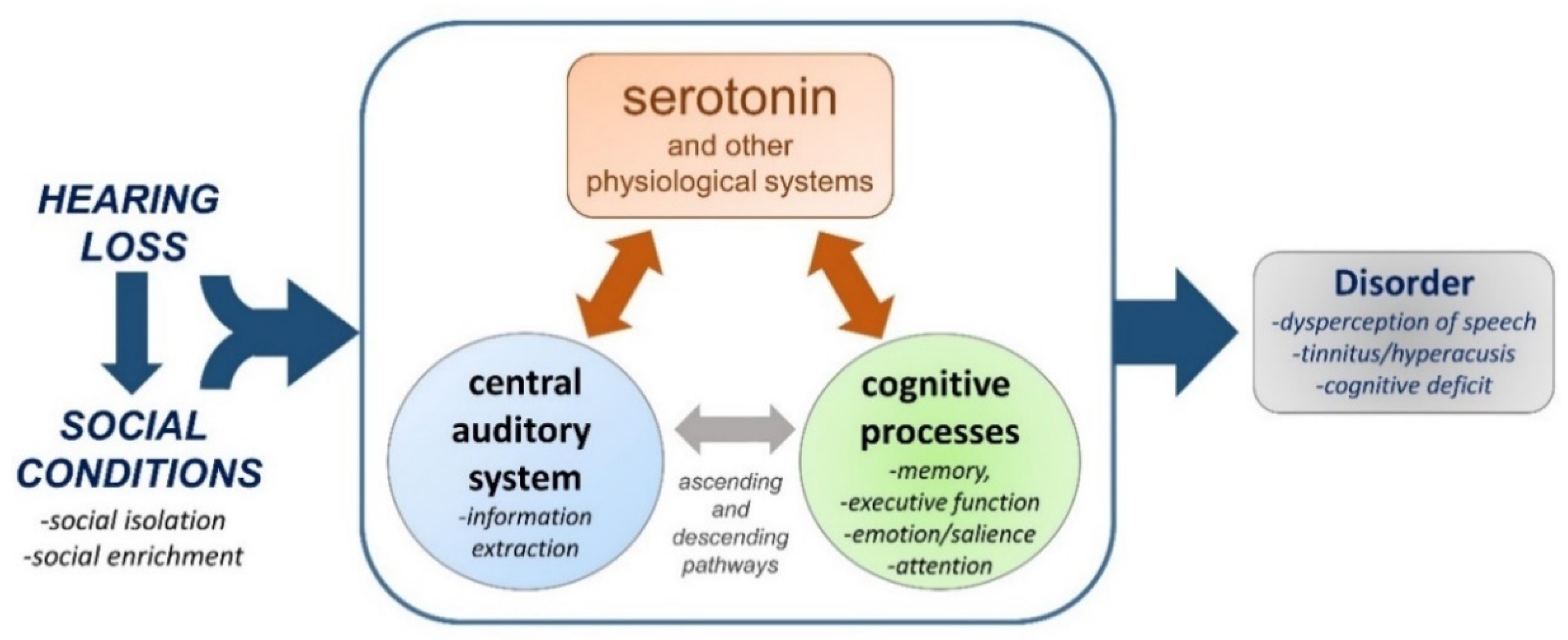 Brain Sciences Free Full Text Silence Solitude And Serotonin Neural Mechanisms Linking Hearing Loss And Social Isolation