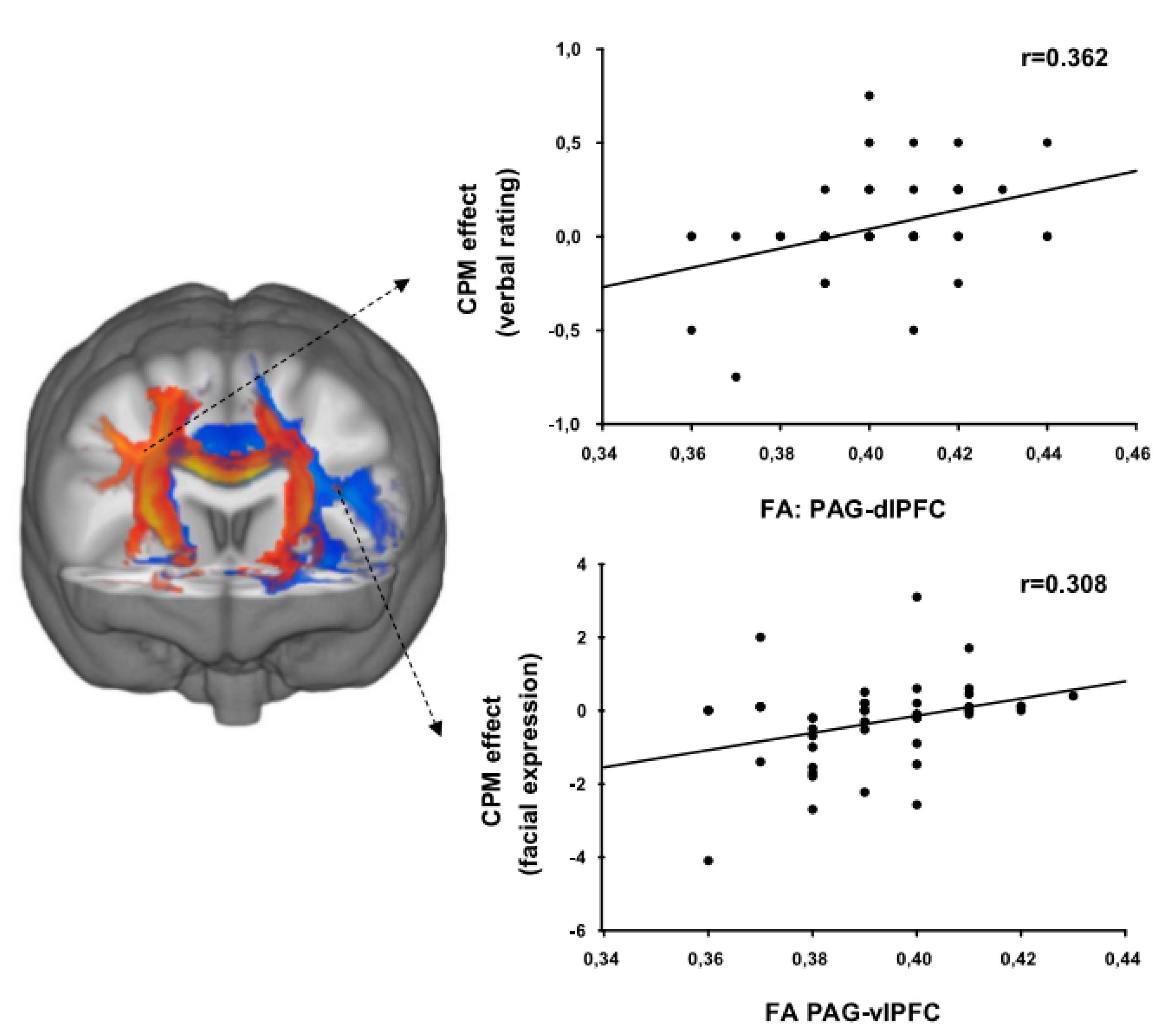 Brain Sciences | Free Full-Text | Pain Processing In Older Adults And ...