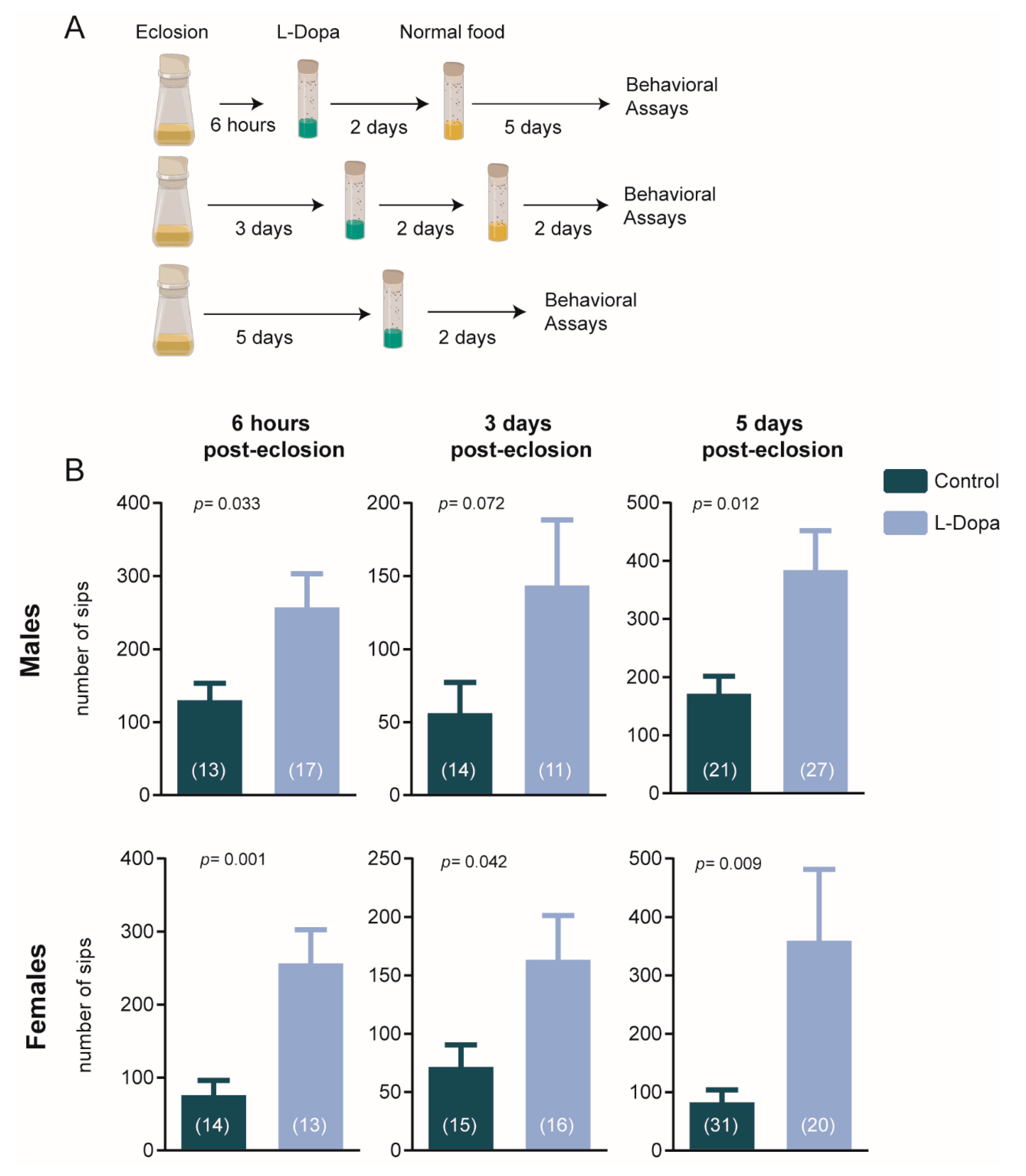 Brainsci 10 00487 g001