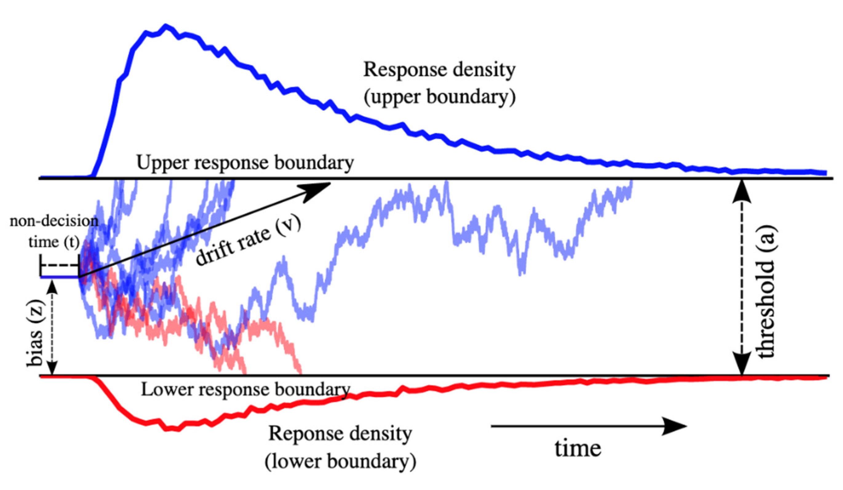 Brainsci 10 00540 g001 Brainsci 10 00540 g001