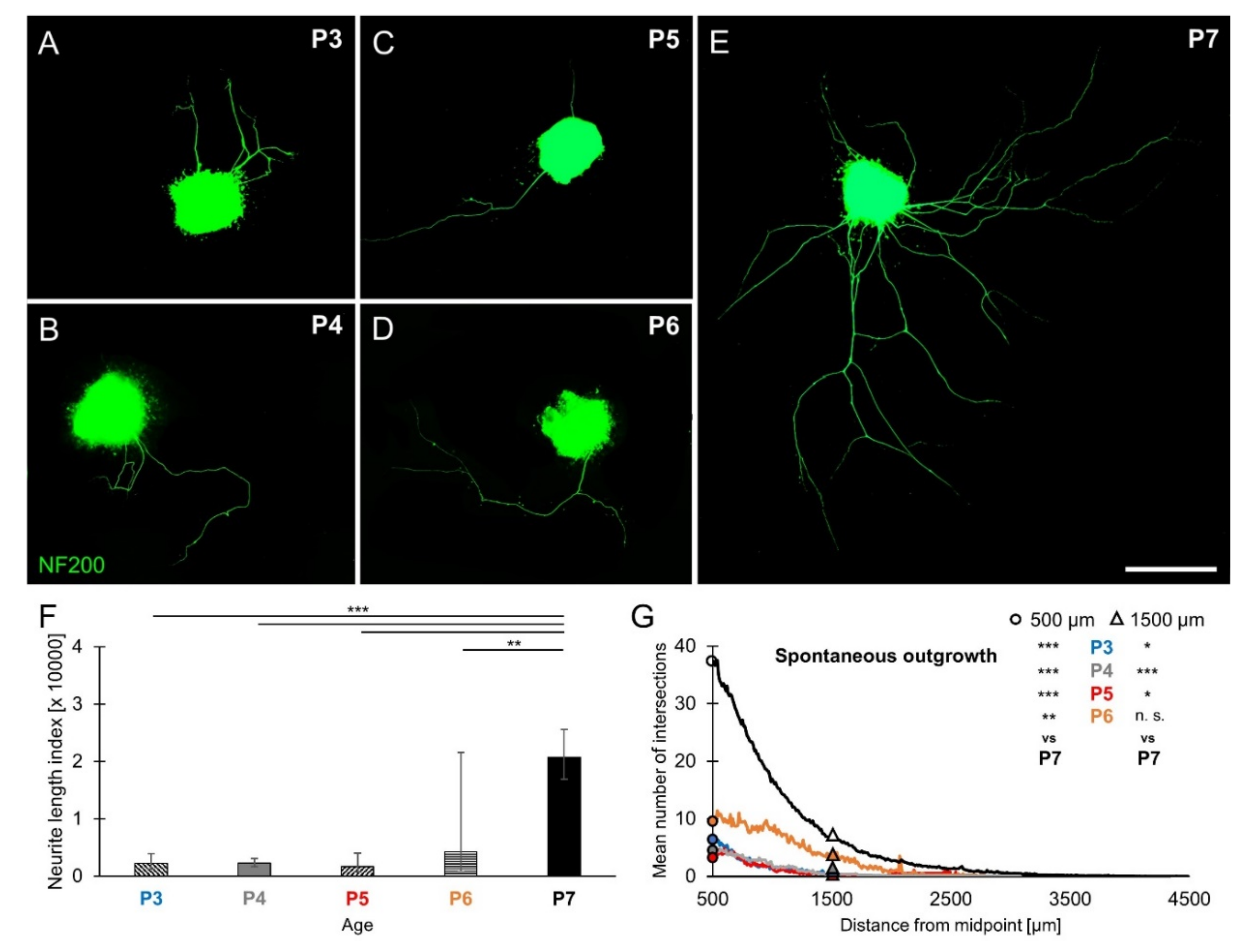Brainsci 10 00580 g001 Brainsci 10 00580 g001