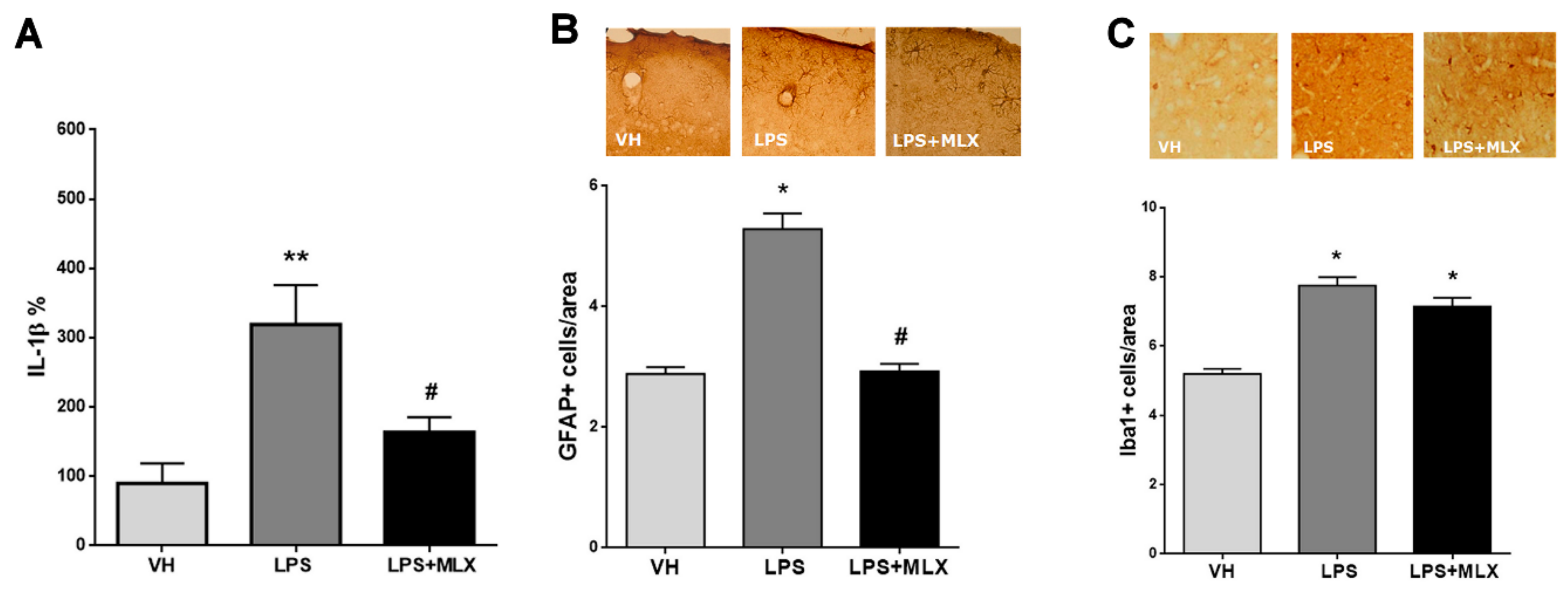 Brainsci 10 00620 g001