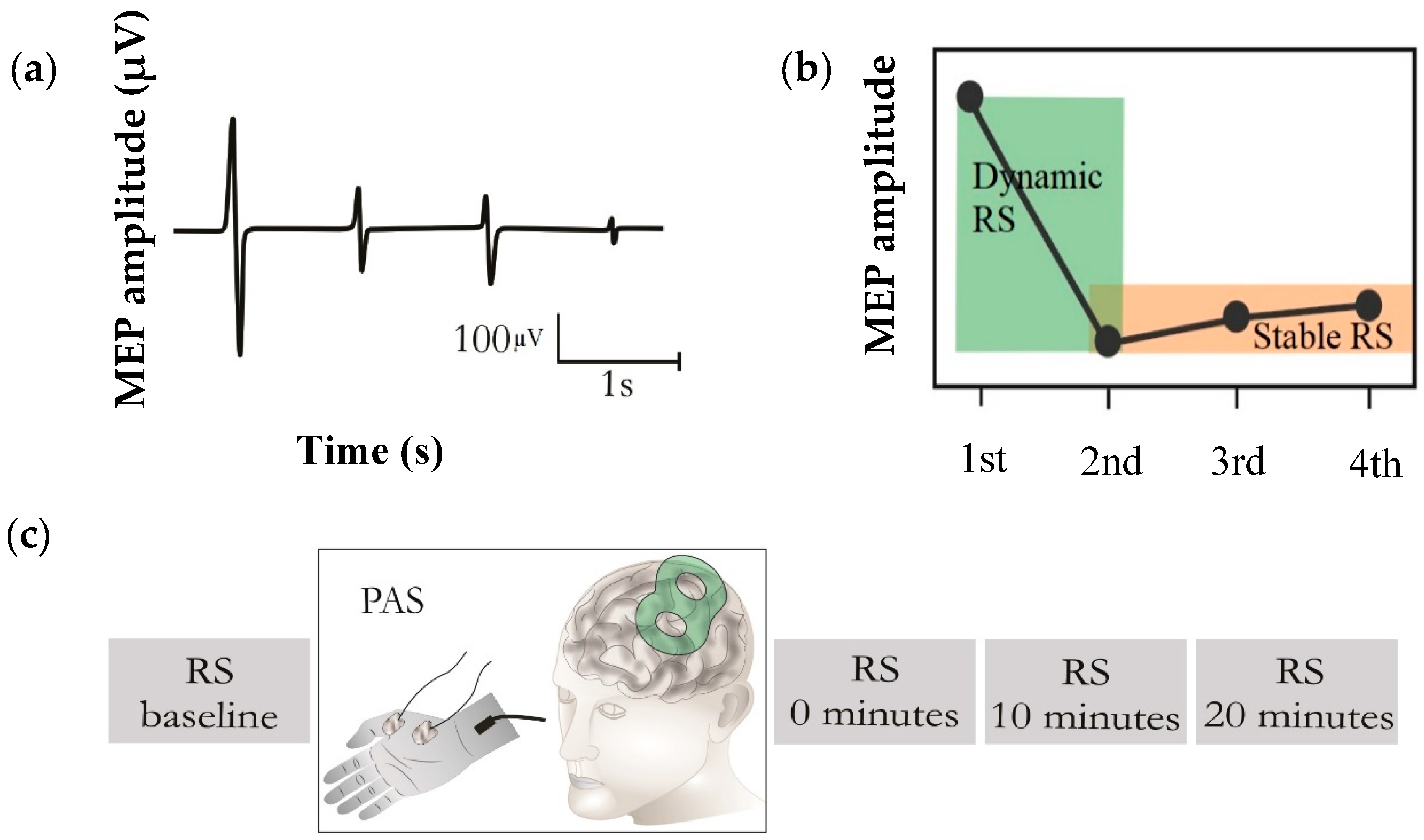 Brain Sciences | Free Full-Text | Brain Response Induced with Paired  Associative Stimulation Is Related to Repetition Suppression of Motor  Evoked Potential