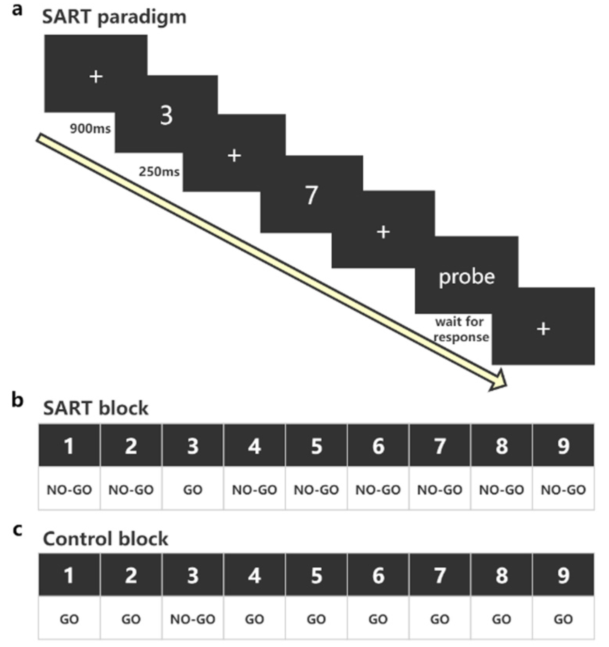 Brainsci 10 00695 g002