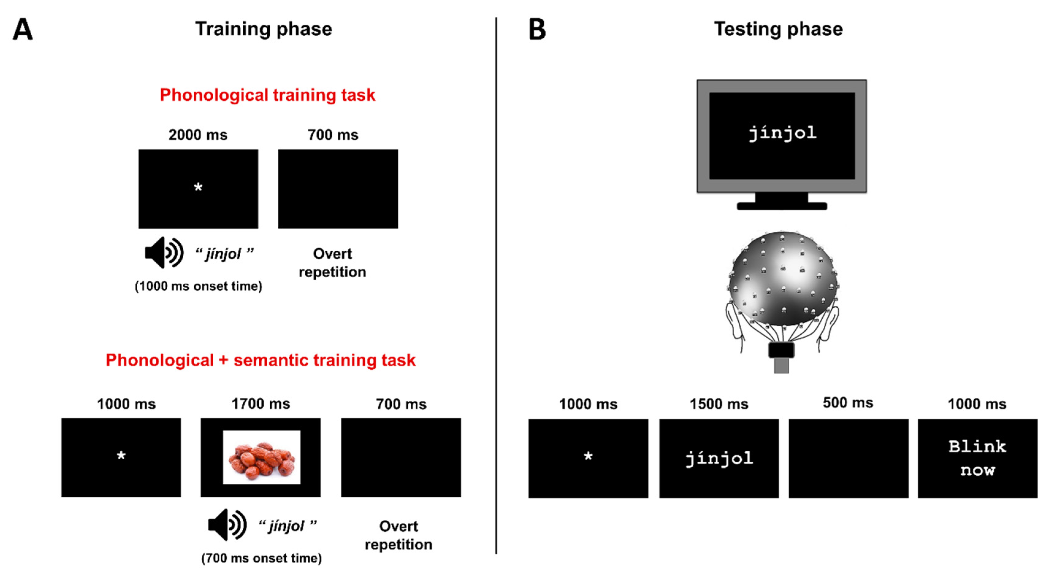 Brain Sciences | Free Full-Text | Neurophysiological Correlates of Top-Down  Phonological and Semantic Influence during the Orthographic Processing of  Novel Visual Word-Forms