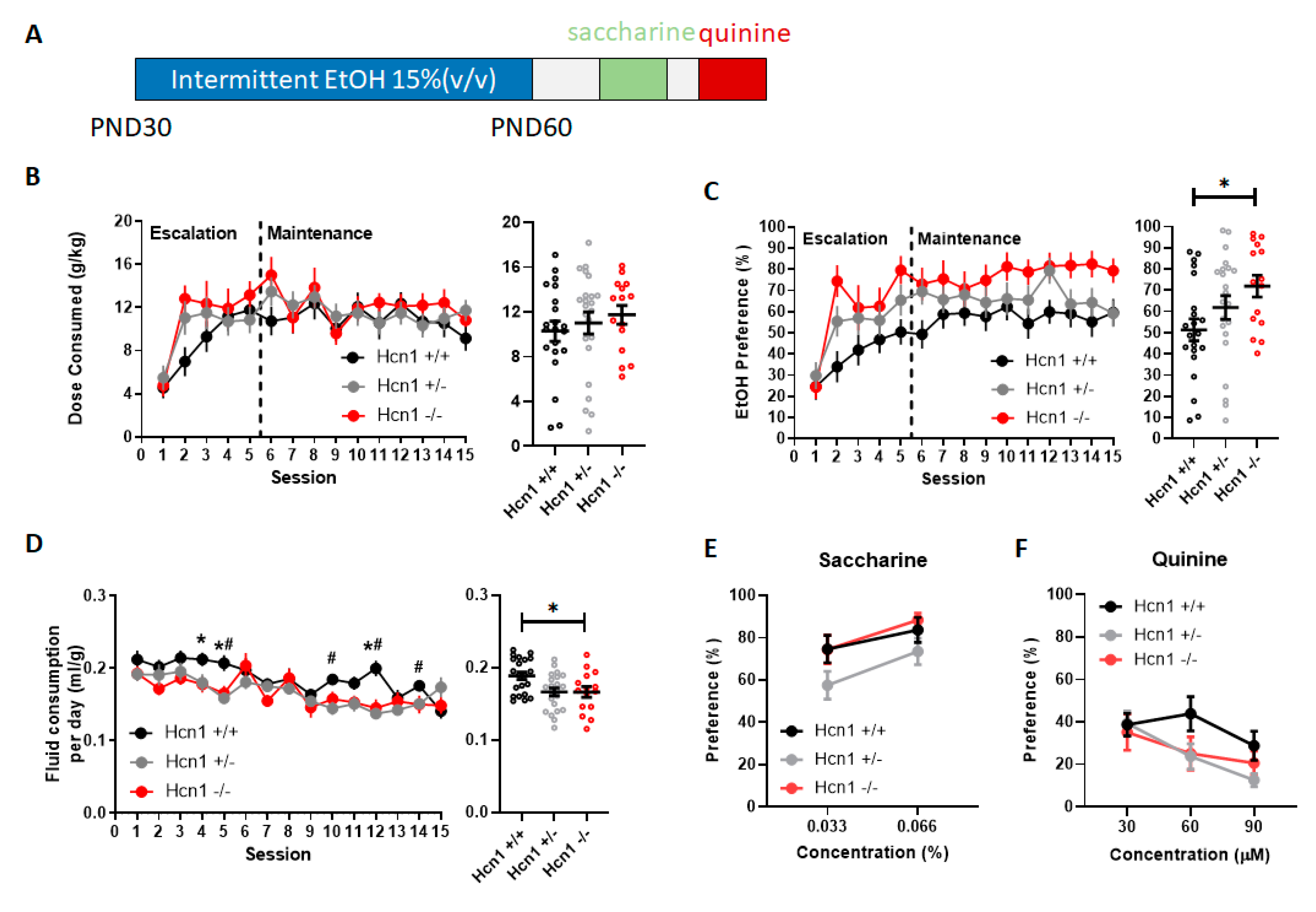 Brainsci 10 00763 g001 Brainsci 10 00763 g001