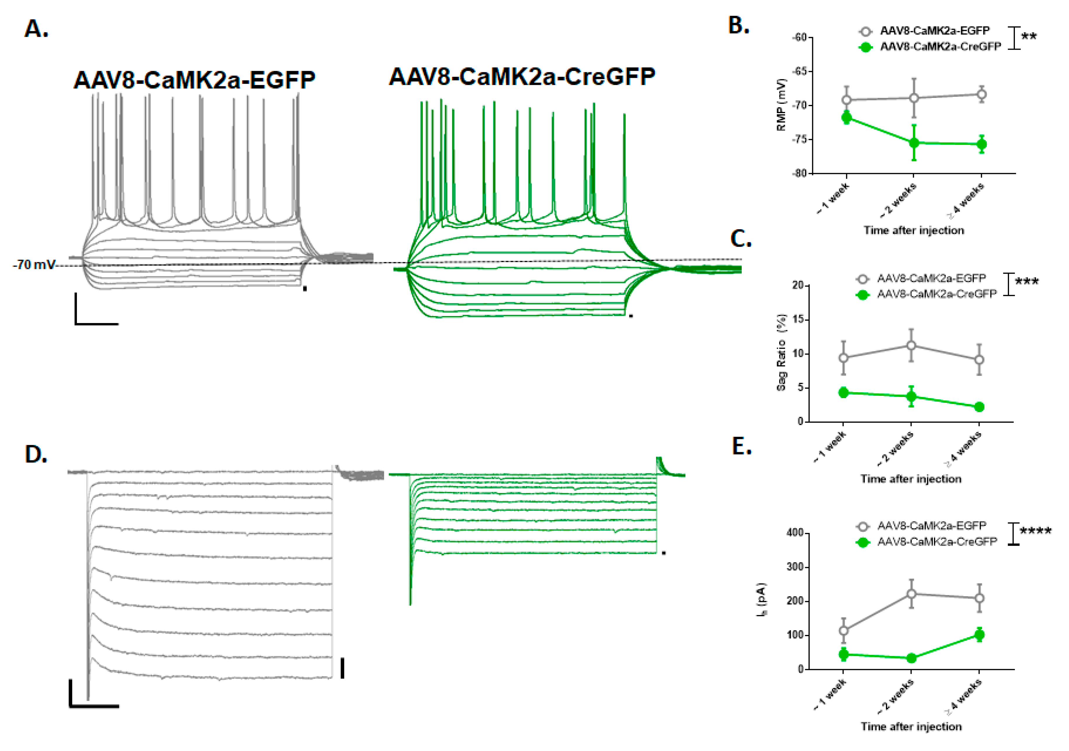 Brainsci 10 00763 g003 Brainsci 10 00763 g003