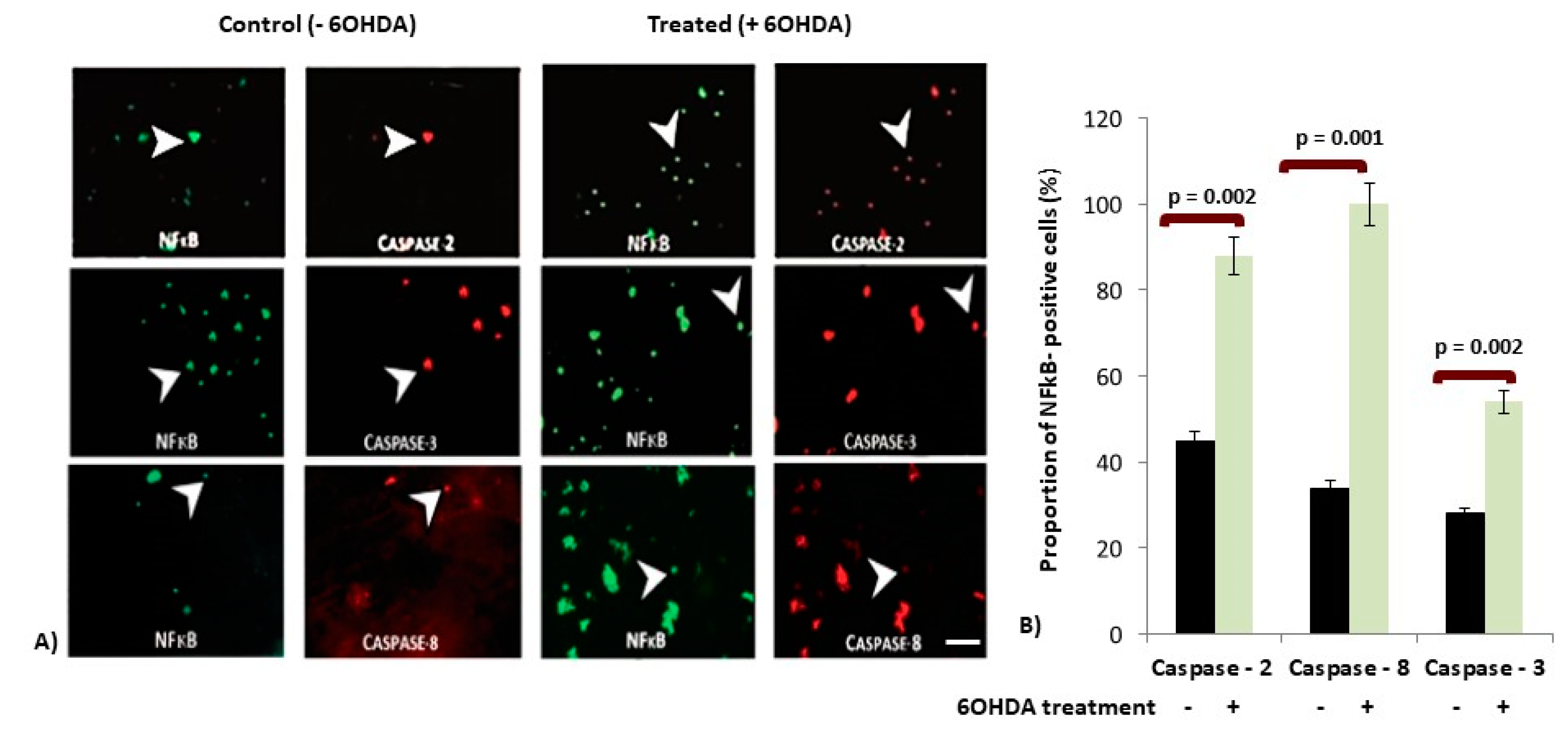 Brainsci 10 00807 g002