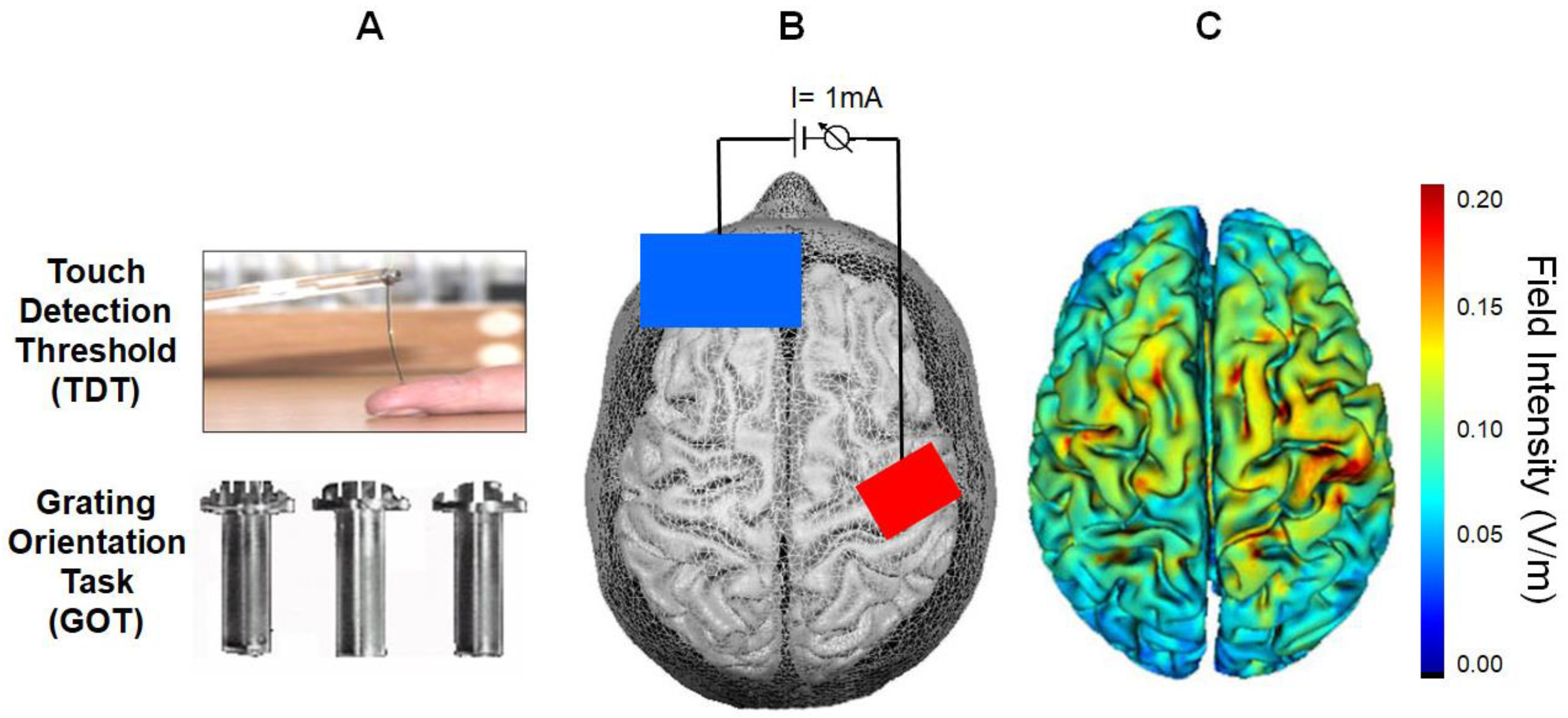Brainsci 10 00843 g001