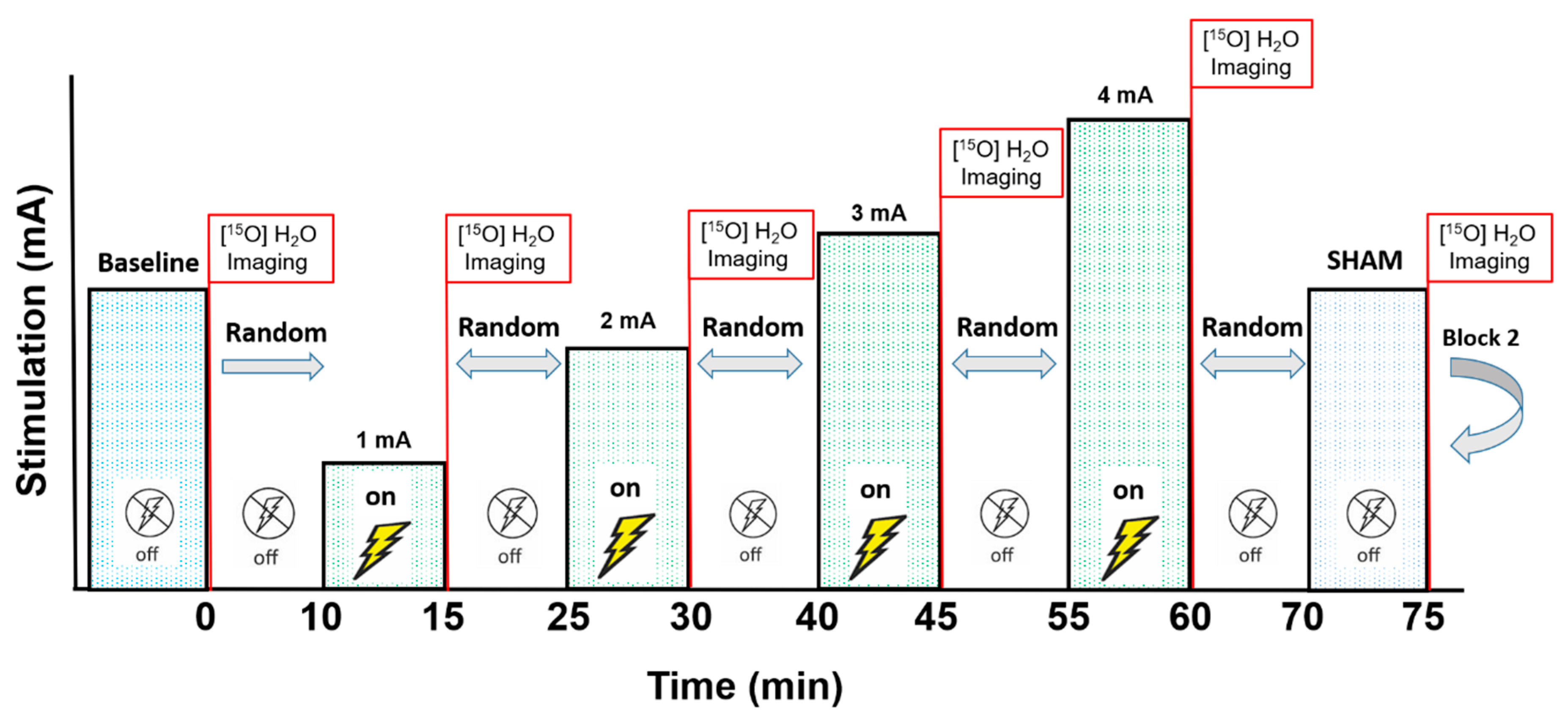 Brainsci 10 00855 g001