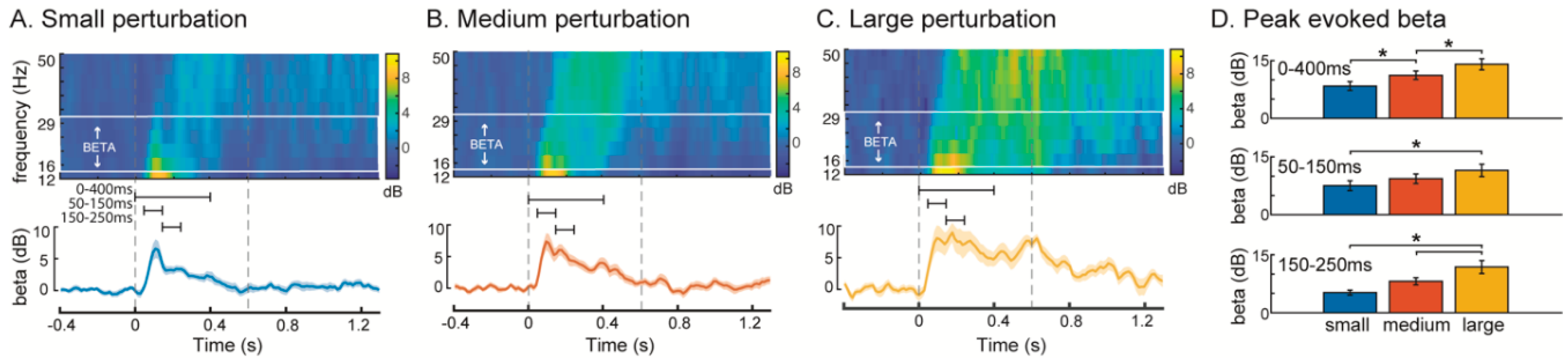 Brainsci 10 00860 g002