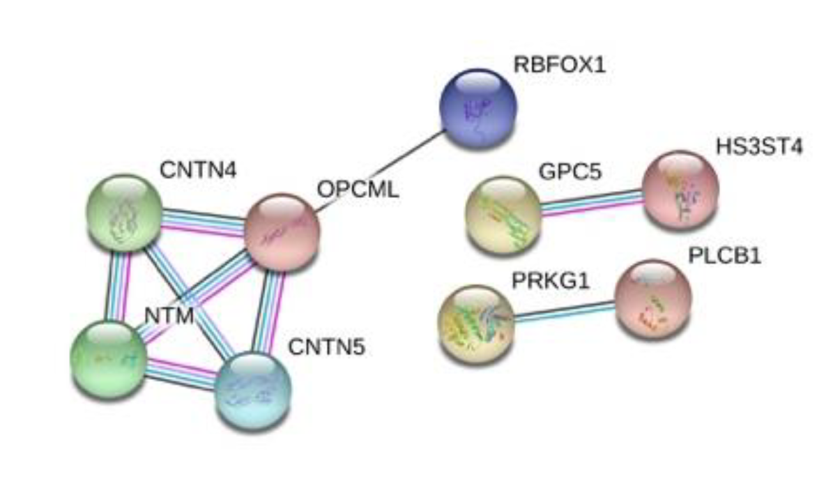 Brainsci 10 00870 g006