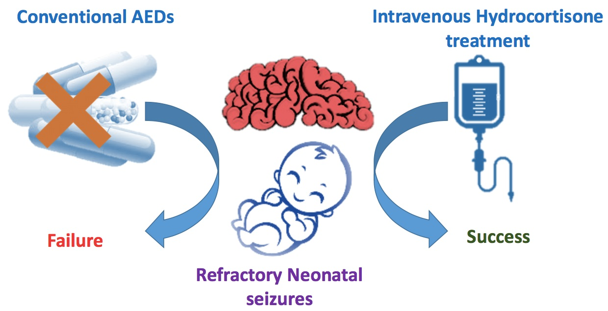 hydrocortisone for premature babies