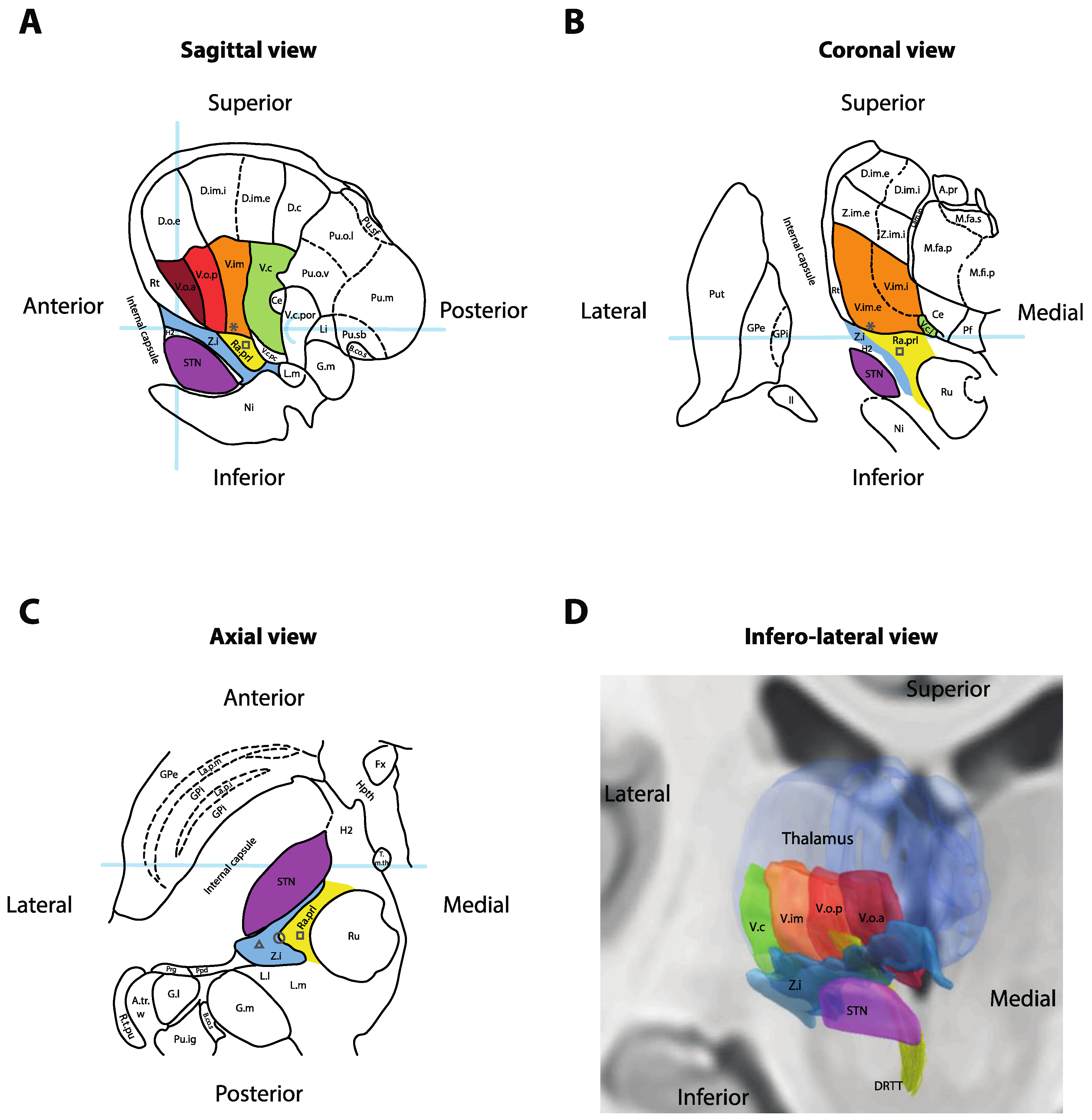 human brain mapping rossi subthalamic nucleus