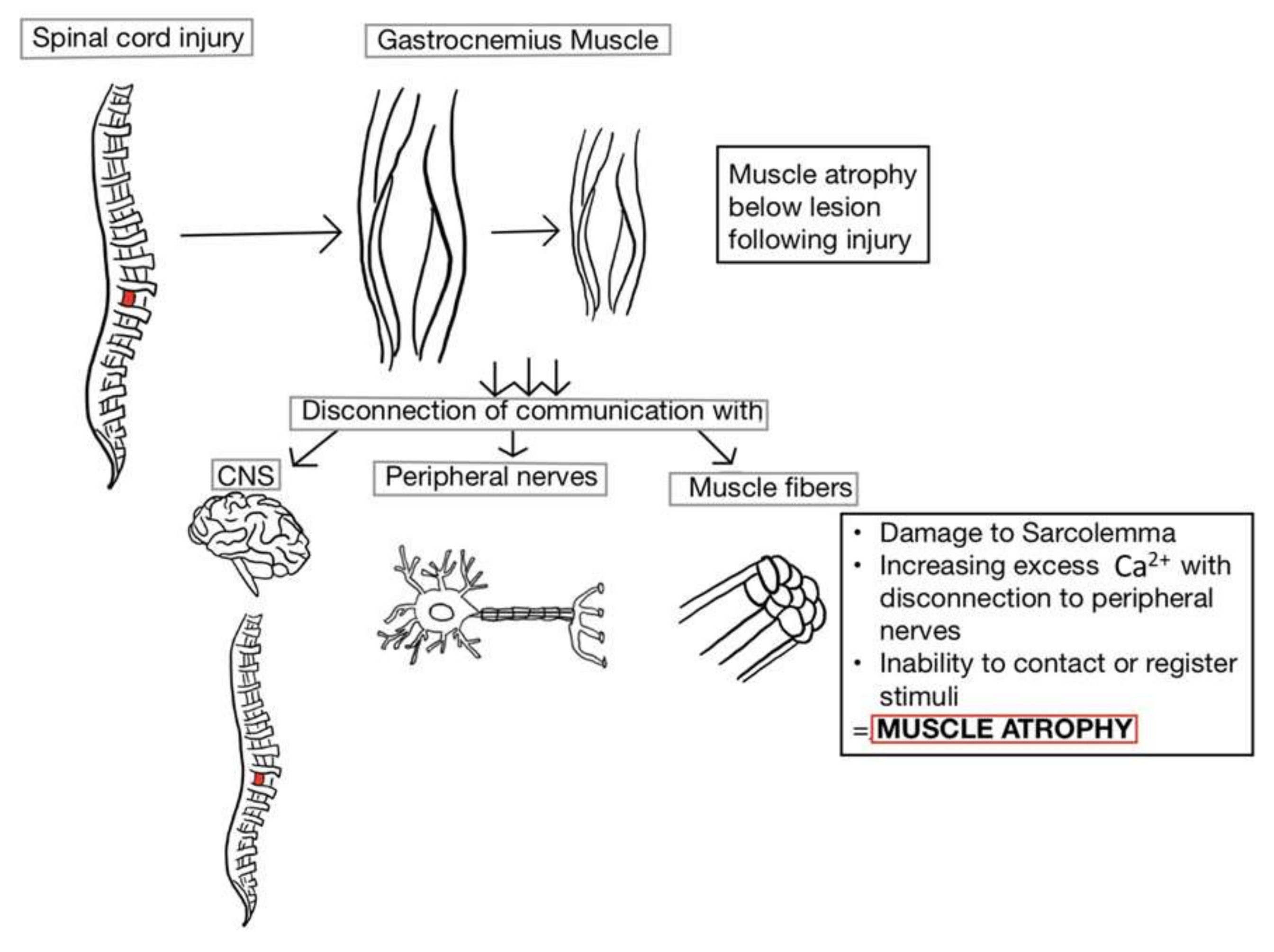 Brainsci 10 00933 g001 Brainsci 10 00933 g001