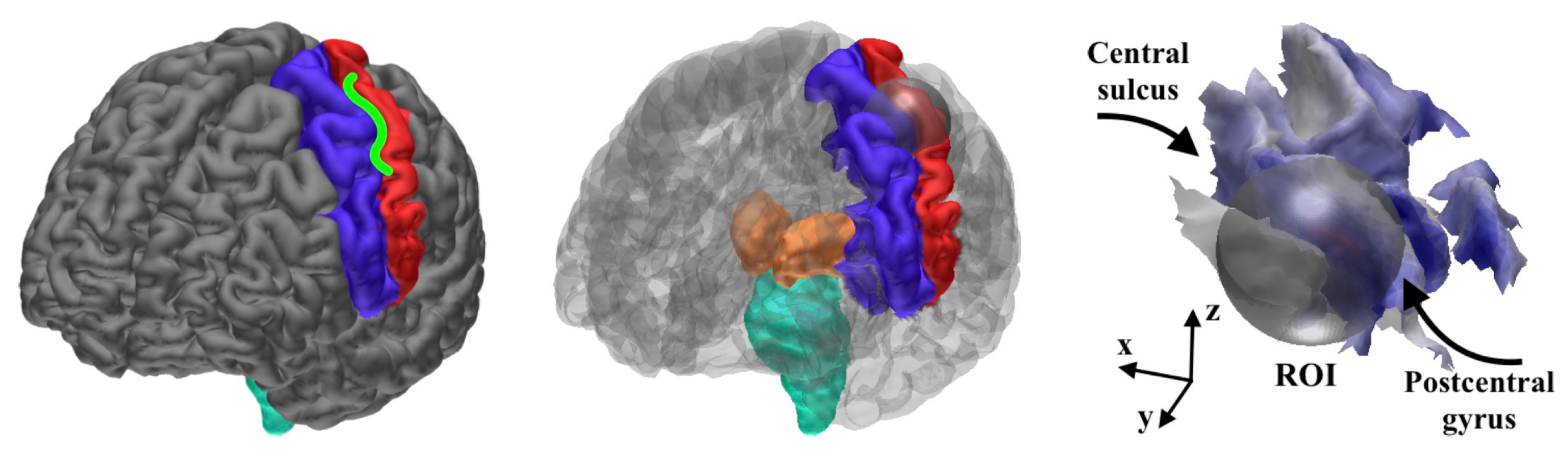 Brainsci 10 00934 g004
