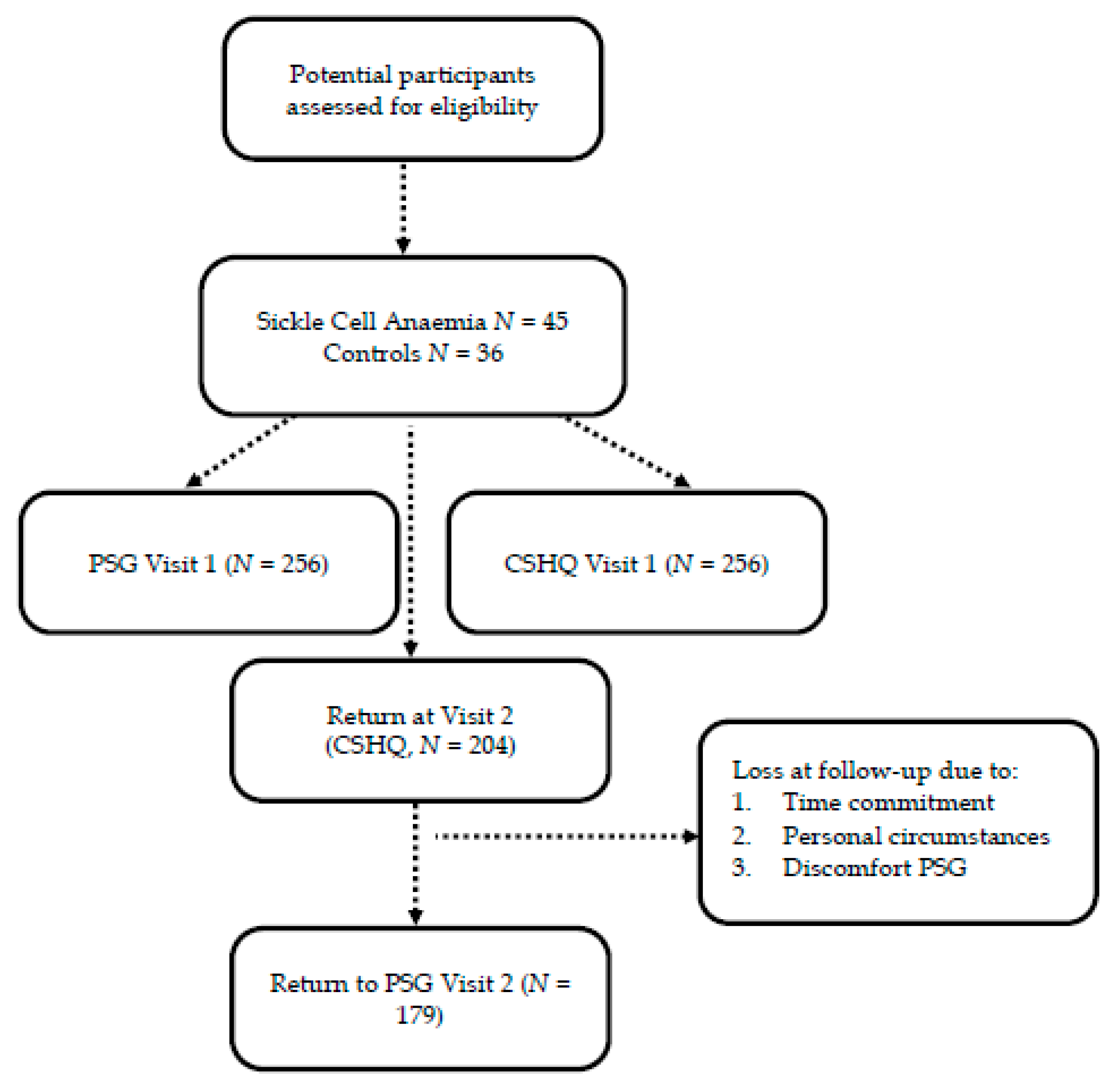 Brainsci 10 00981 g001