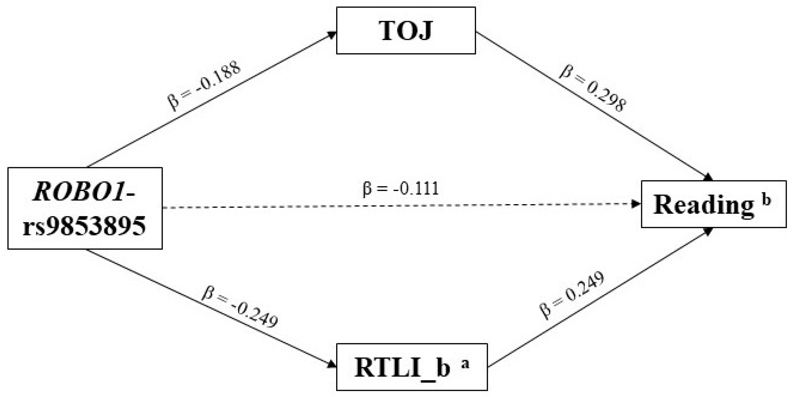 Brainsci 10 00993 g002
