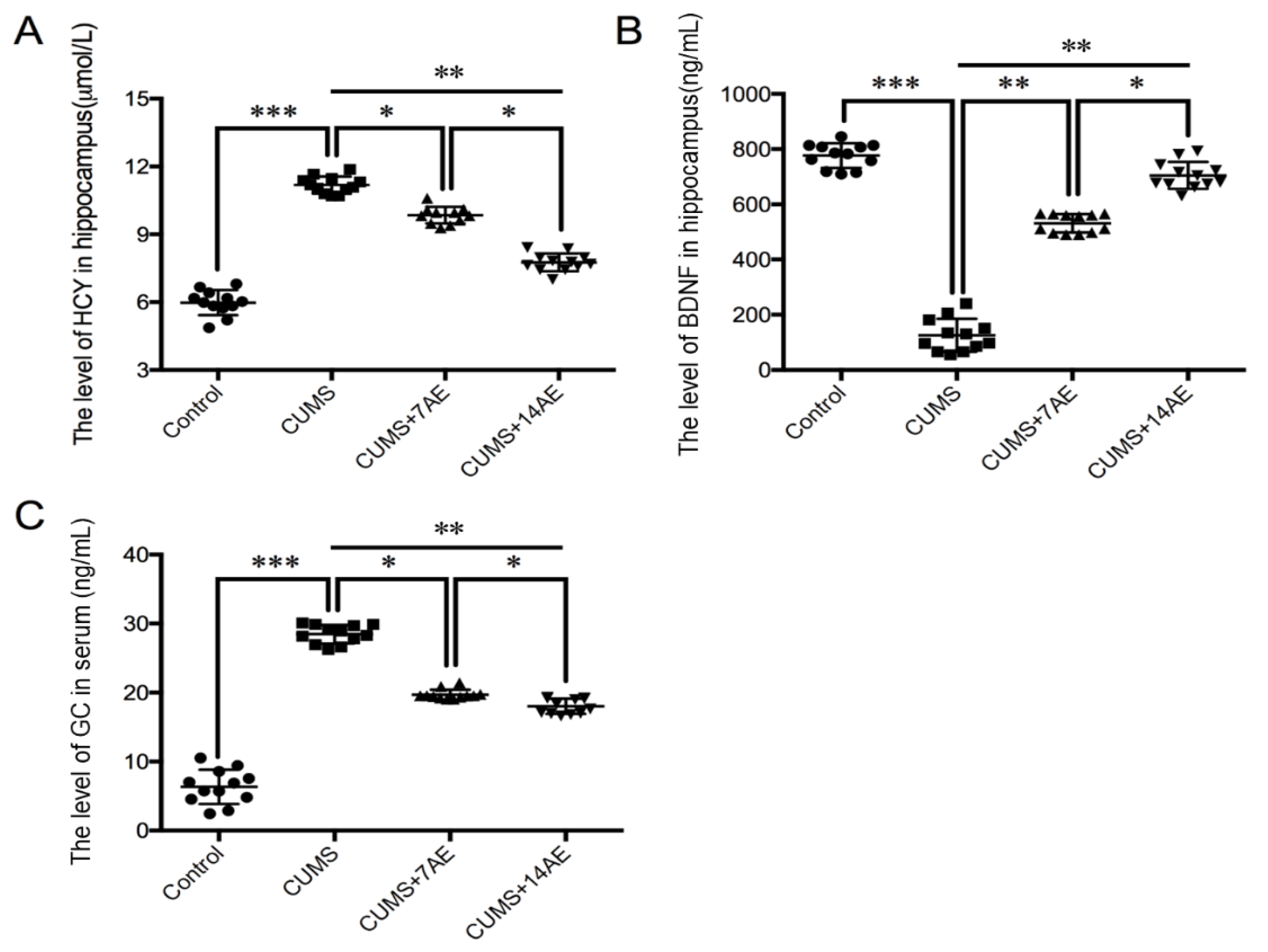 Brainsci 11 00009 g005