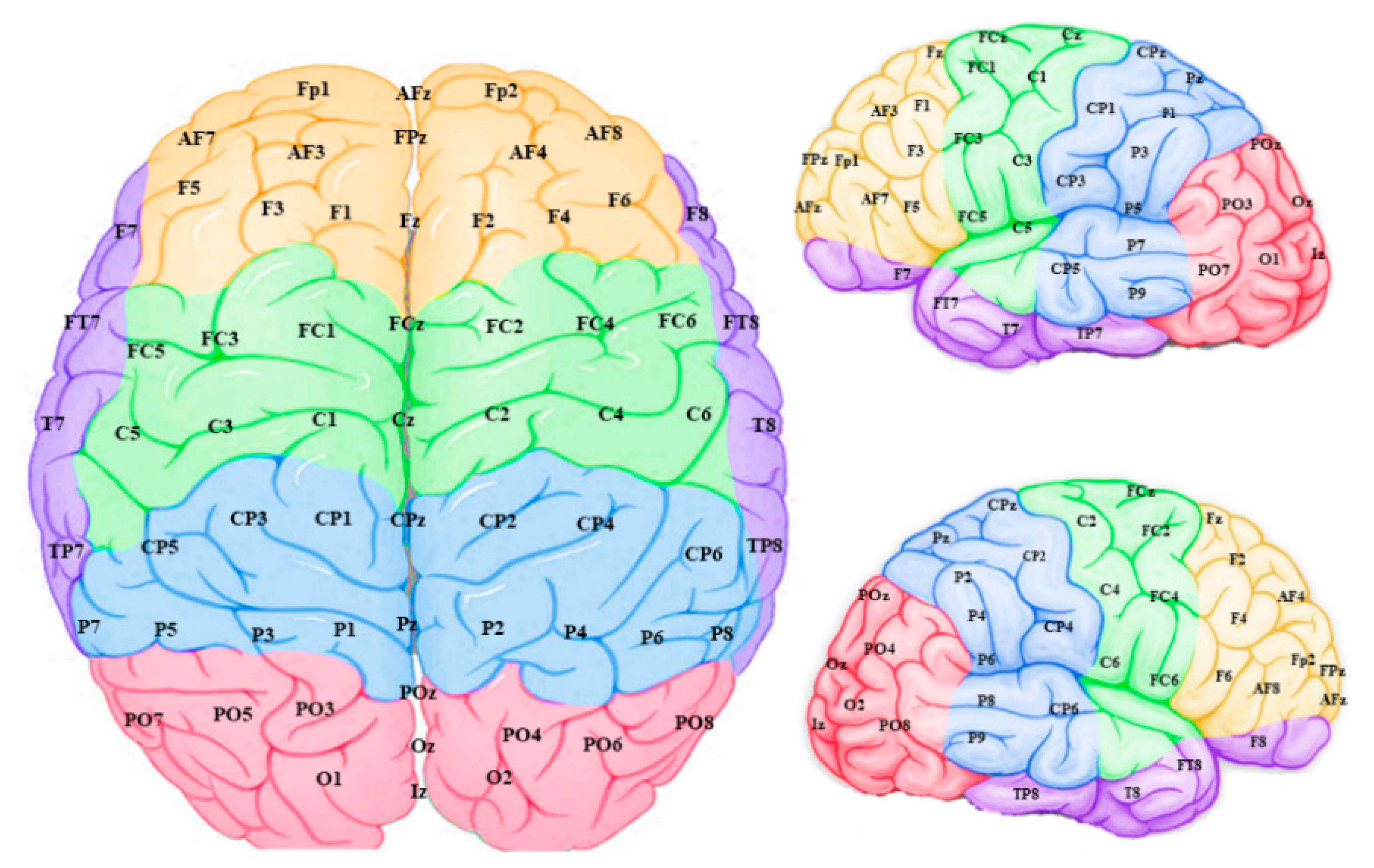 Brainsci 11 00052 g006