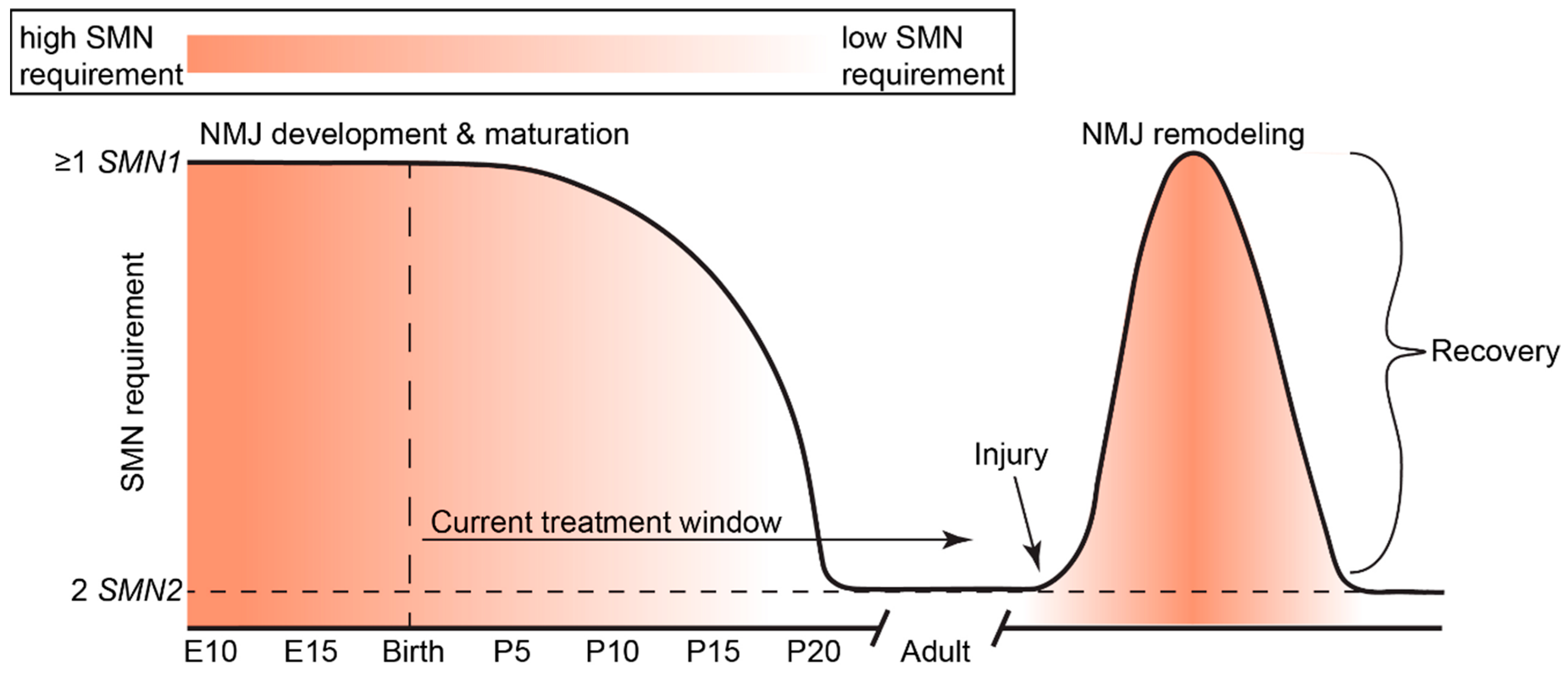 Brainsci 11 00194 g003 Brainsci 11 00194 g003