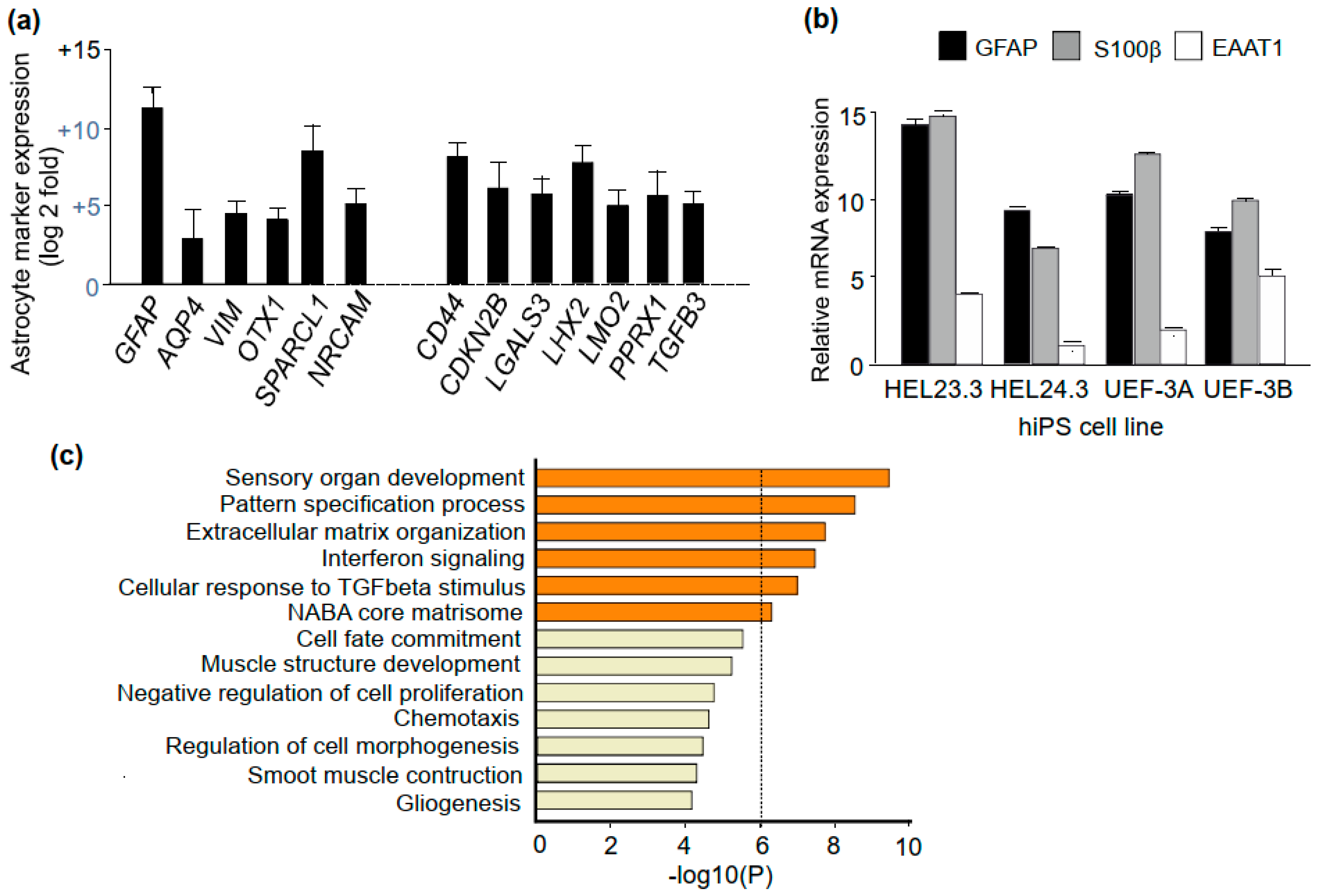 Brainsci 11 00209 g004 Brainsci 11 00209 g004