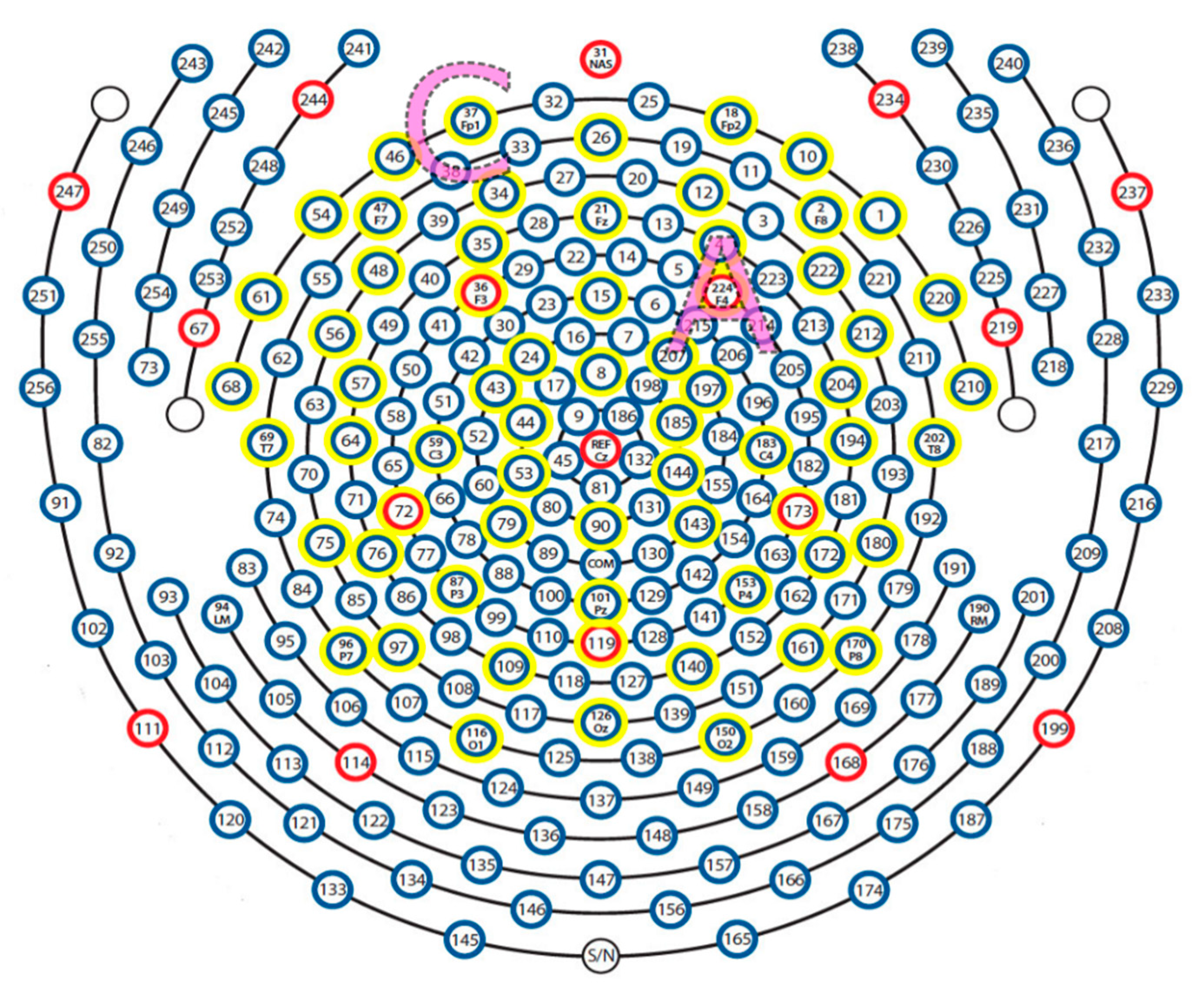 Brainsci 11 00250 g003