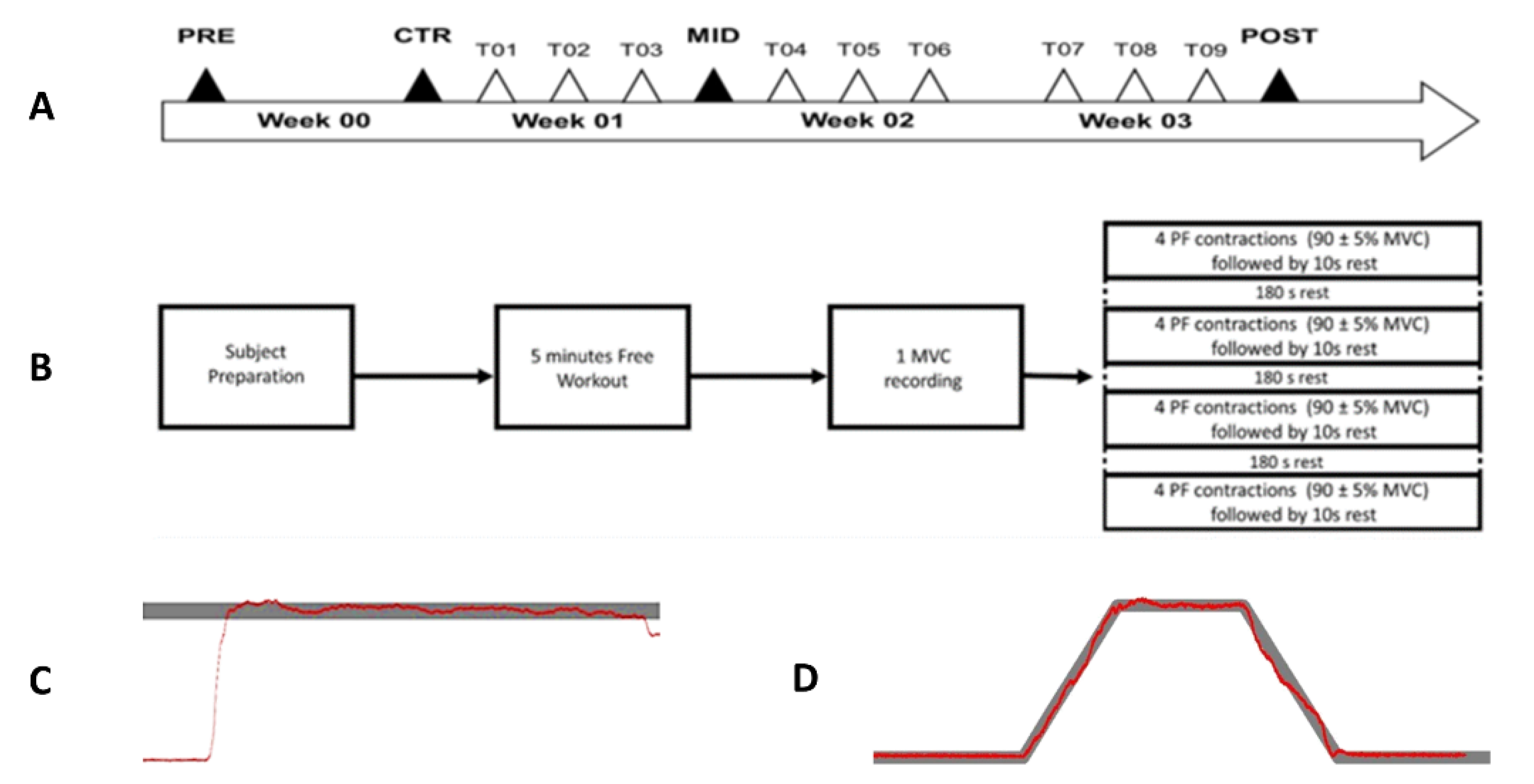 Brainsci 11 00254 g001 Brainsci 11 00254 g001