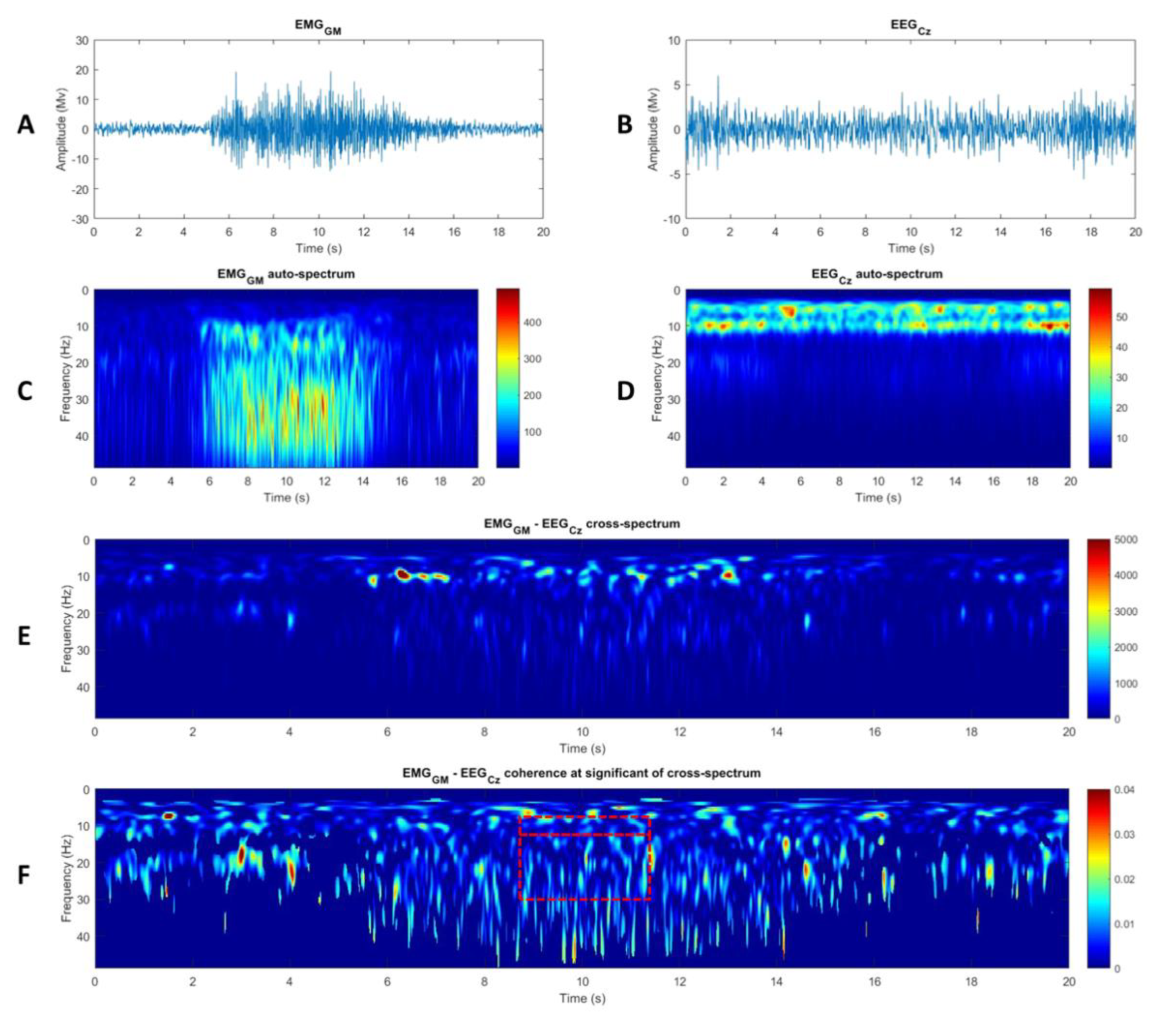 Brainsci 11 00254 g002 Brainsci 11 00254 g002