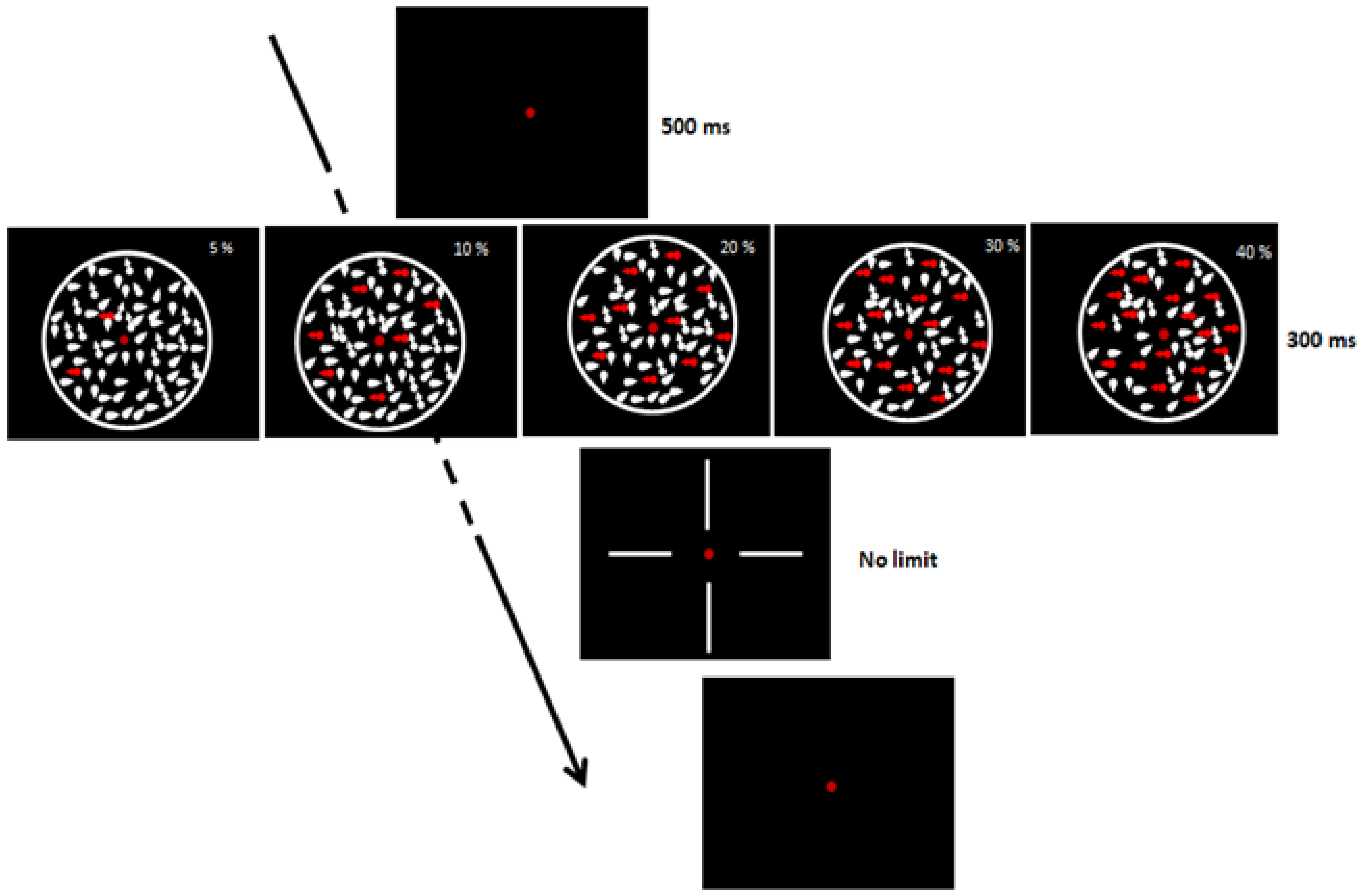 Brainsci 11 00263 g001 Brainsci 11 00263 g001