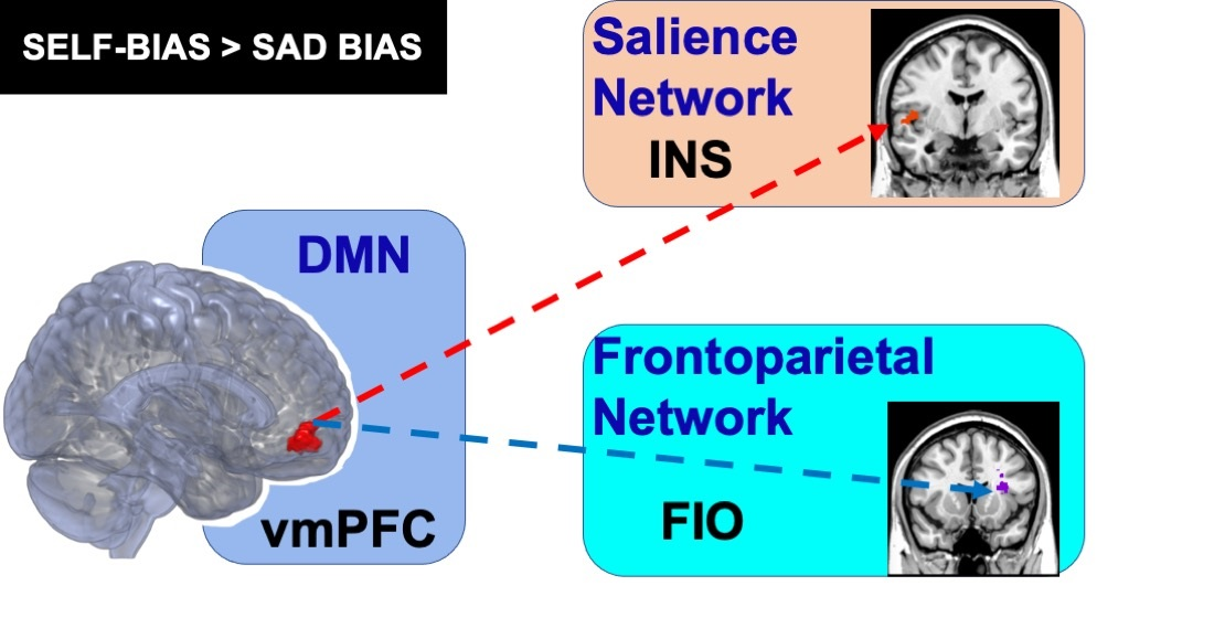 Brain Sciences Free Full Text Self Positivity Or Self Negativity As A Function Of The Medial 2559