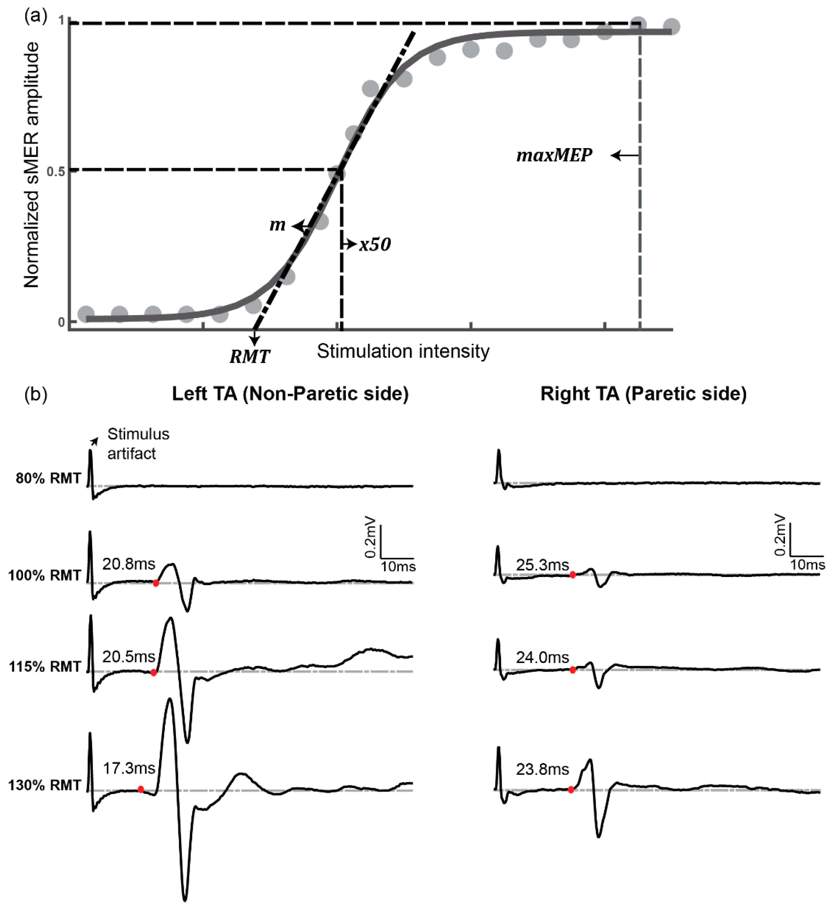 Brainsci 11 00289 g002