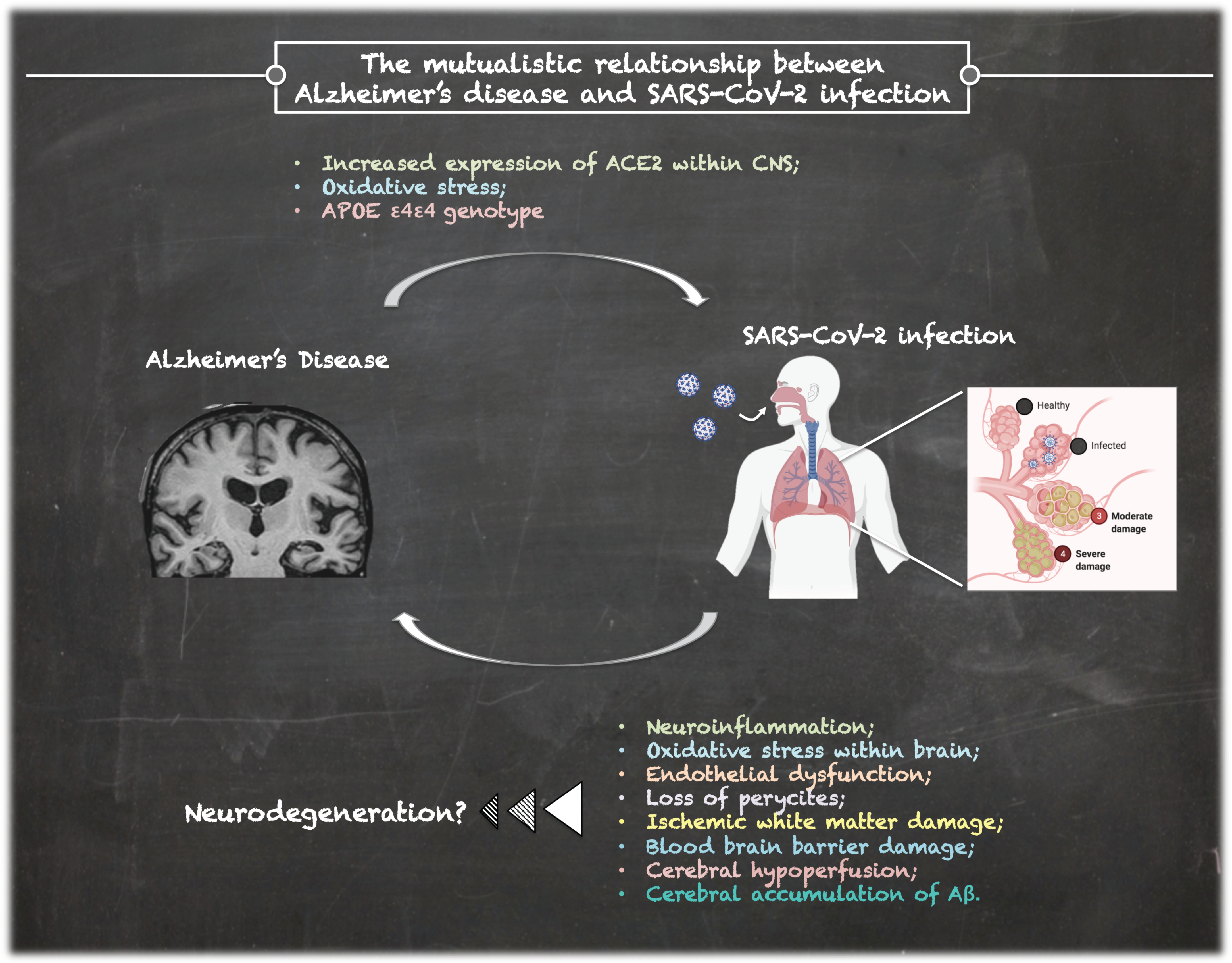 Clinical Manifestations: Alzheimer's & Dementia: Vol 19, No S4