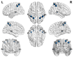 Brainsci 11 00311 i001