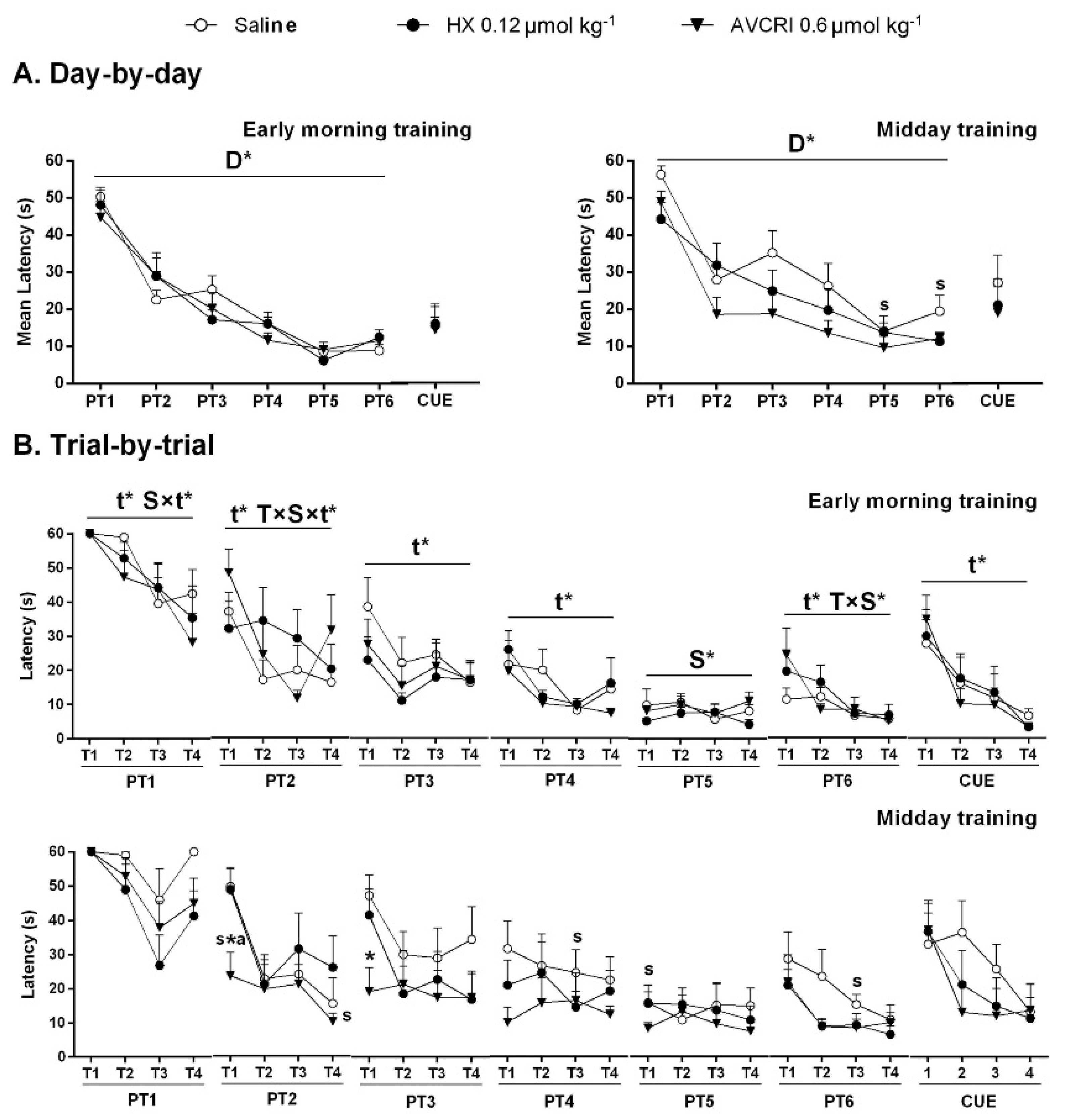 Brainsci 11 00426 g001