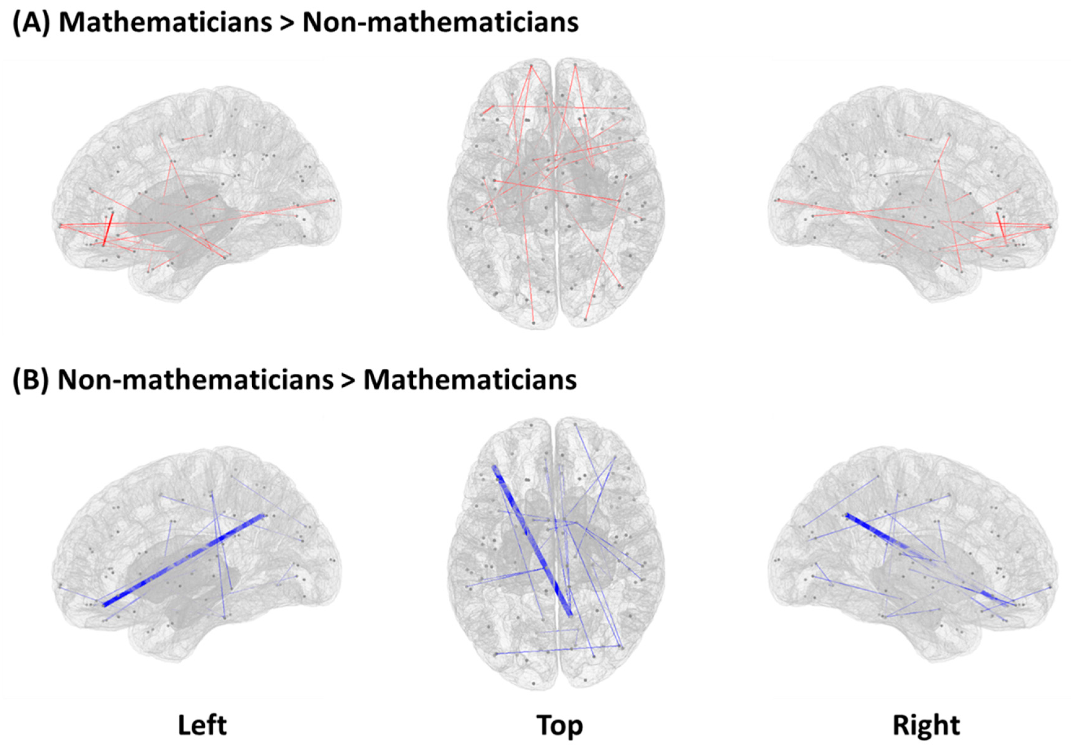 Brainsci 11 00430 g001 Brainsci 11 00430 g001