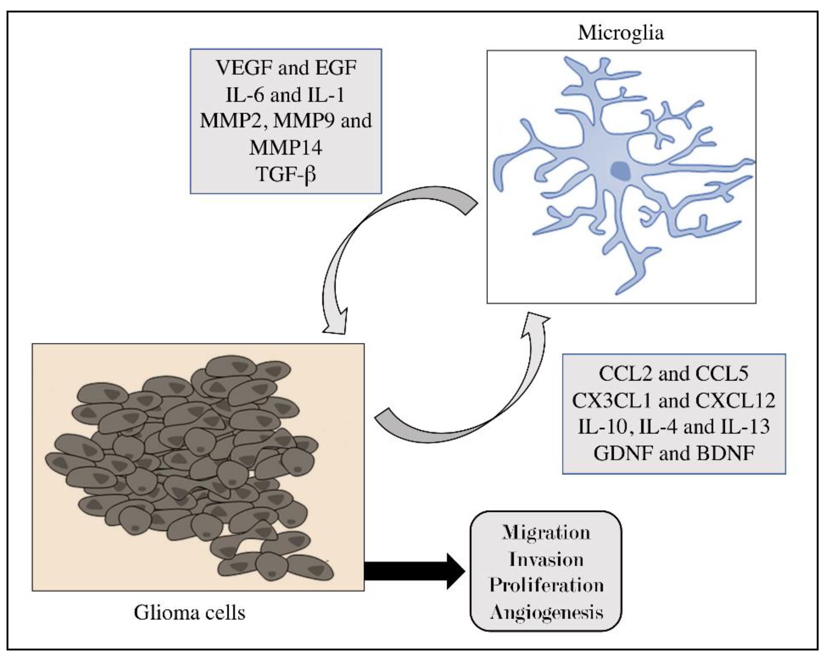 Brainsci 11 00466 g002