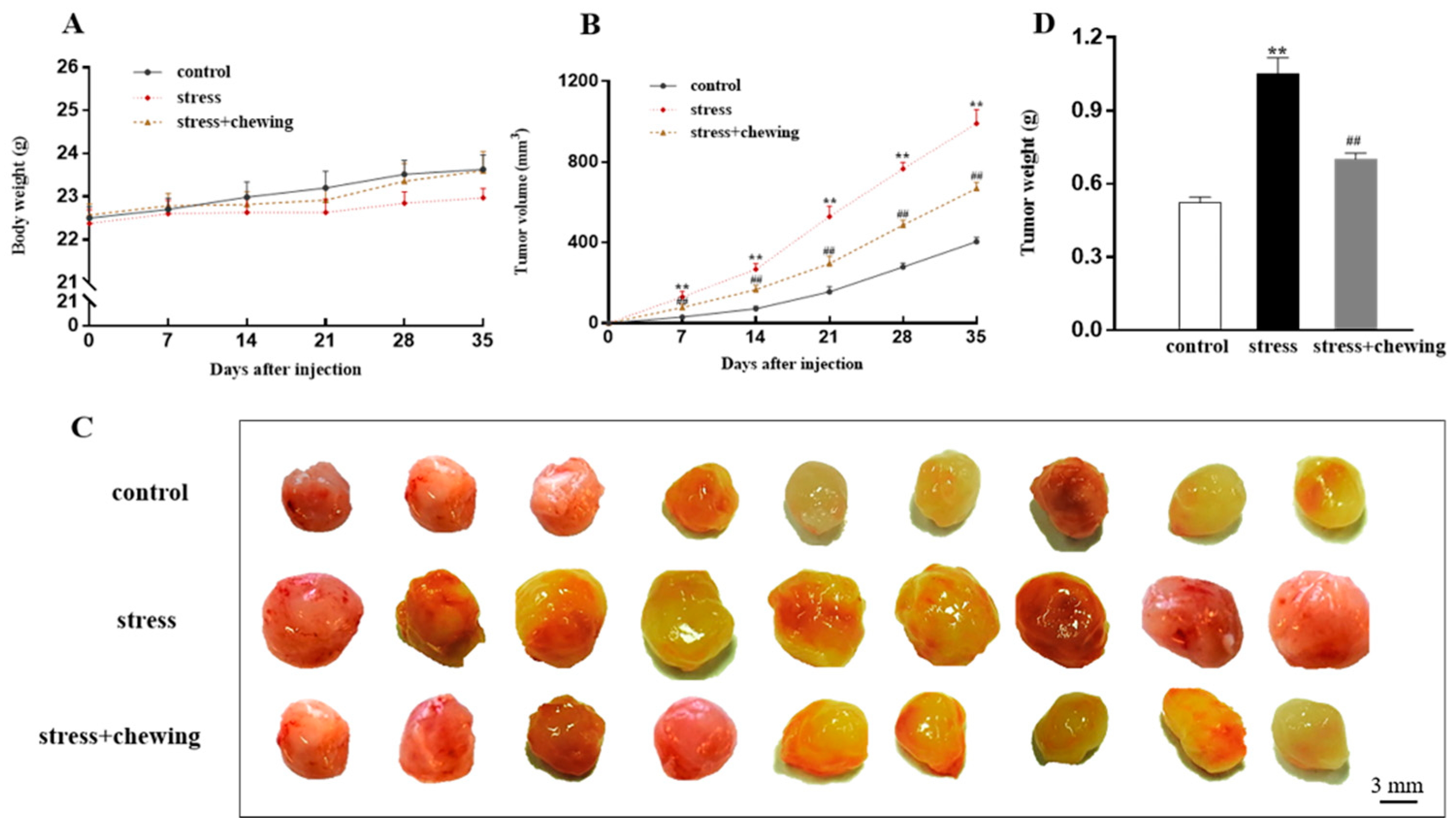 Brainsci 11 00479 g001 Brainsci 11 00479 g001