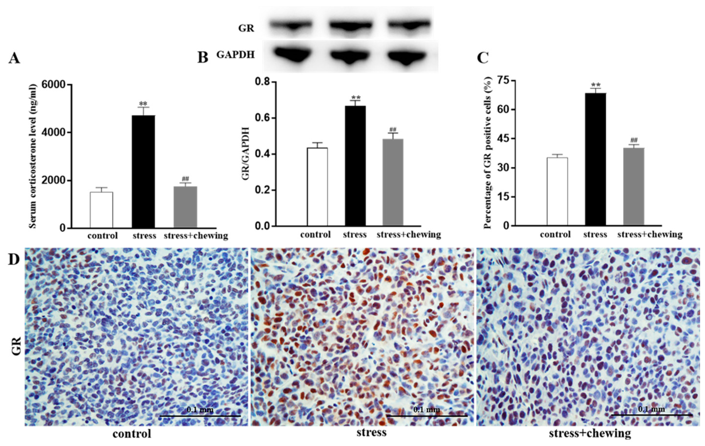 Brainsci 11 00479 g003 Brainsci 11 00479 g003