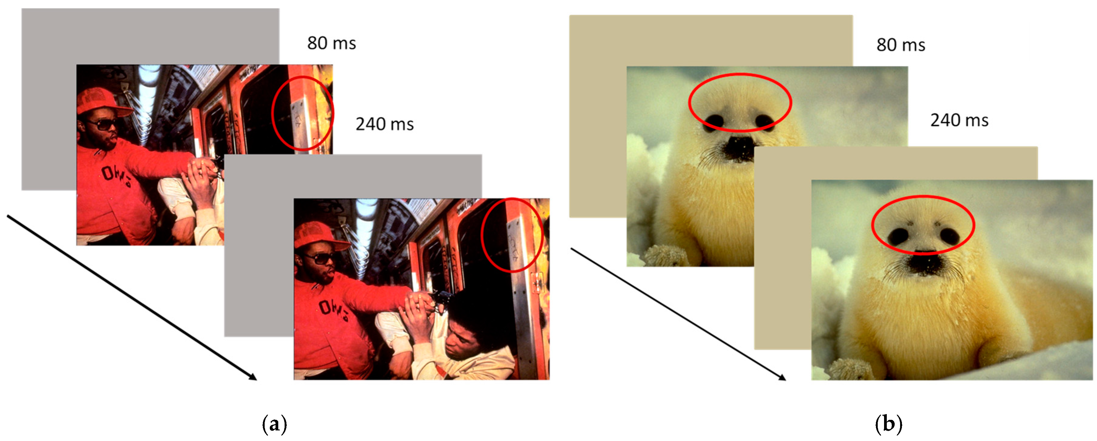 Brainsci 11 00480 g001