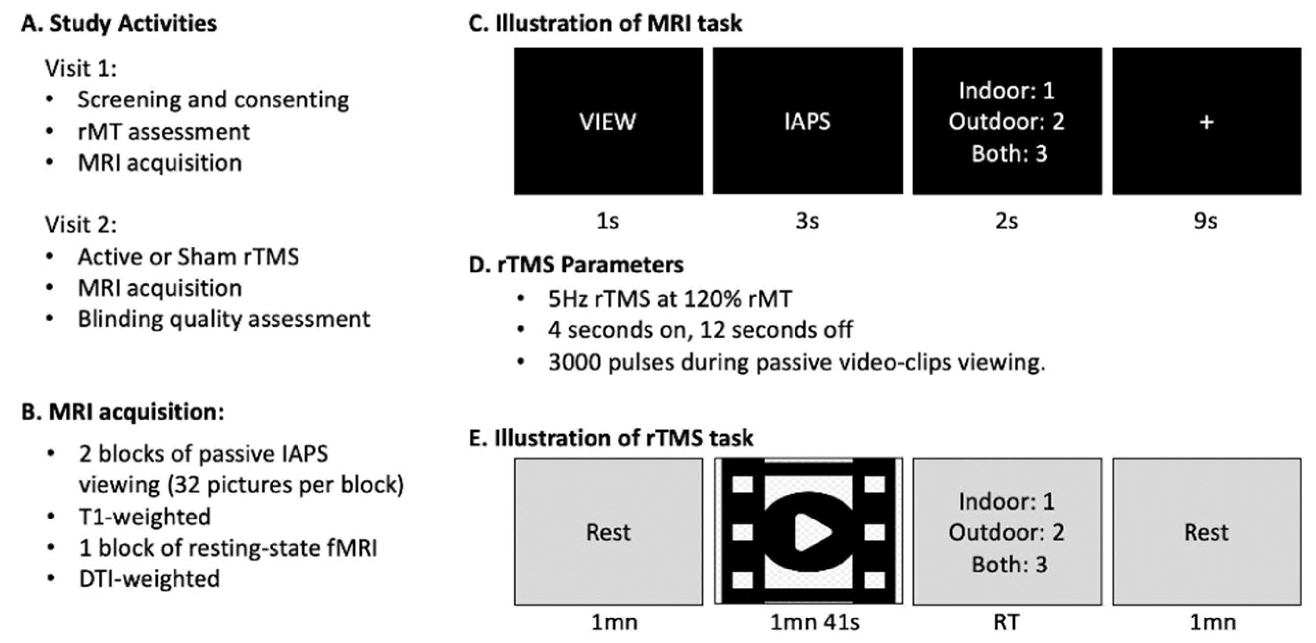Brainsci 11 00494 g002 Brainsci 11 00494 g002