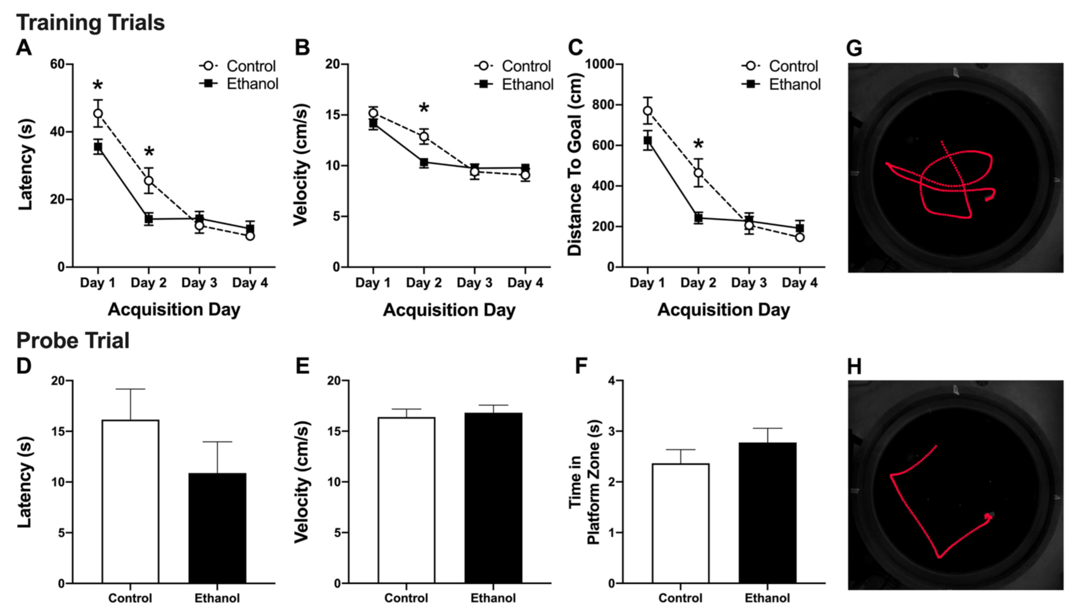 Brainsci 11 00499 g002