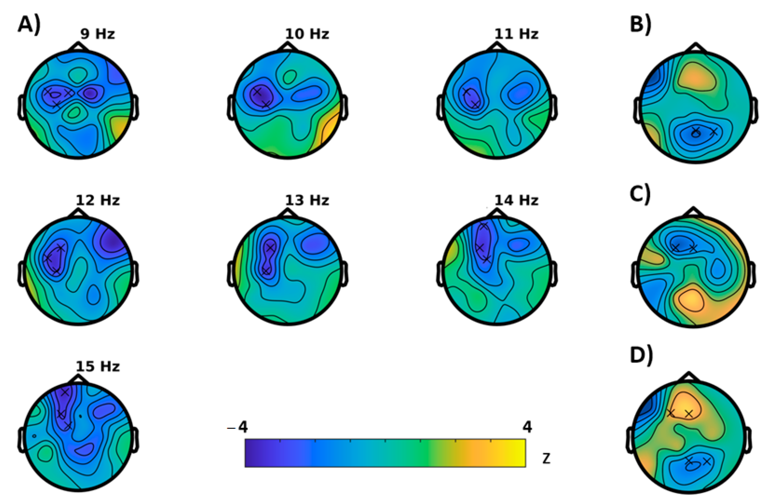 Simon task. QEEG. The nature of Perception.