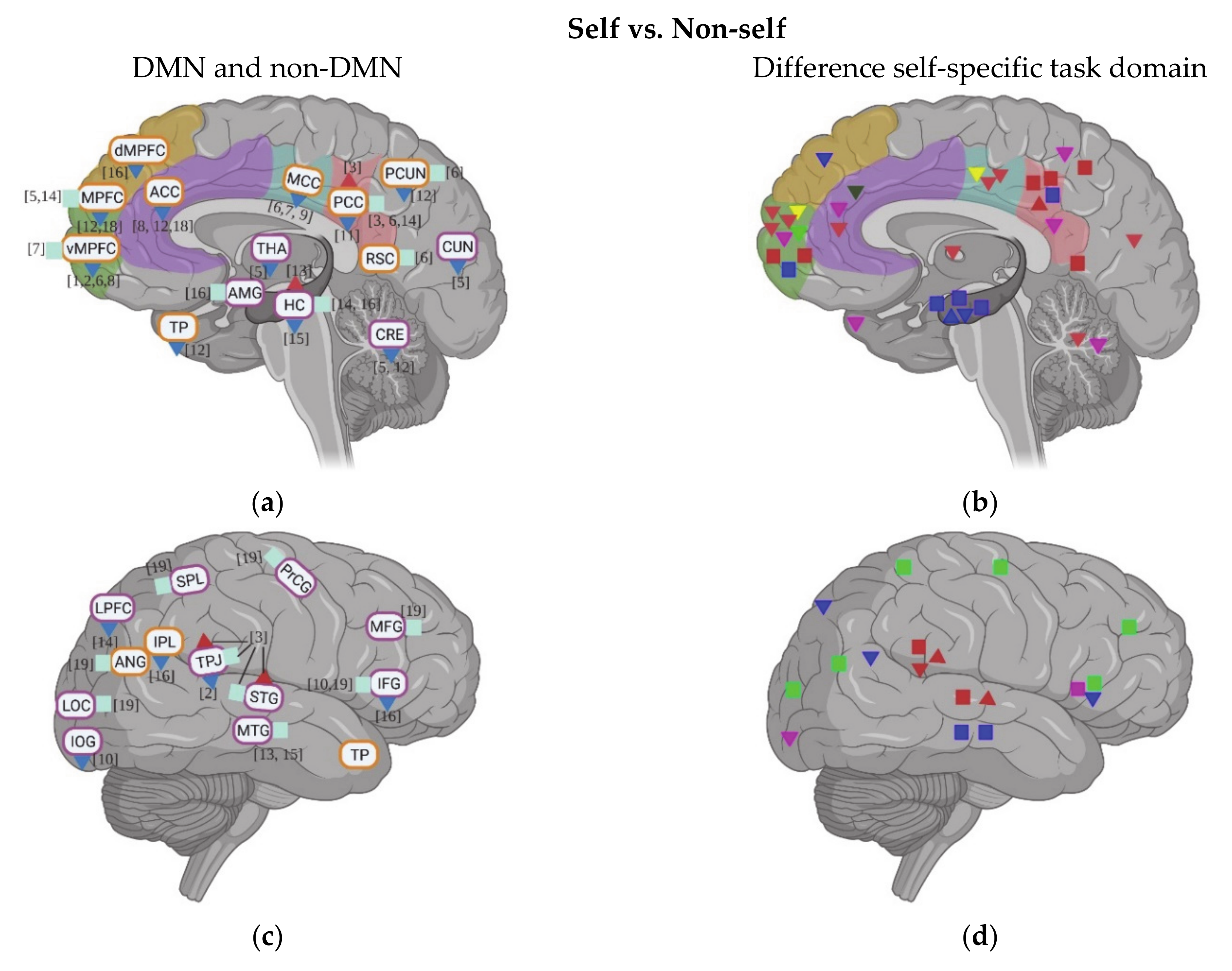 Neural Network Model Shows Why People With Autism Read Facial Expressions  Differently - PediaStaff