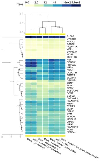 Brain Sciences | Free Full-Text | The Polygenic Nature and Complex