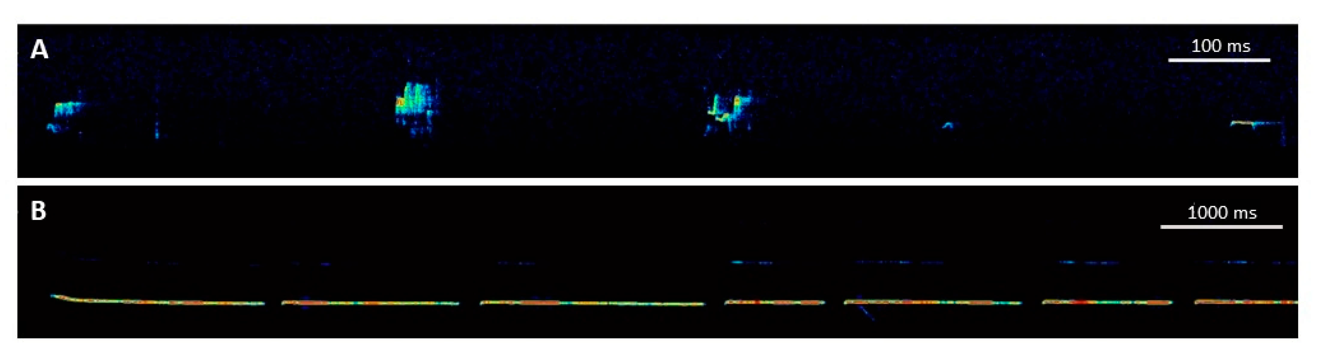 Brainsci 11 00724 g001