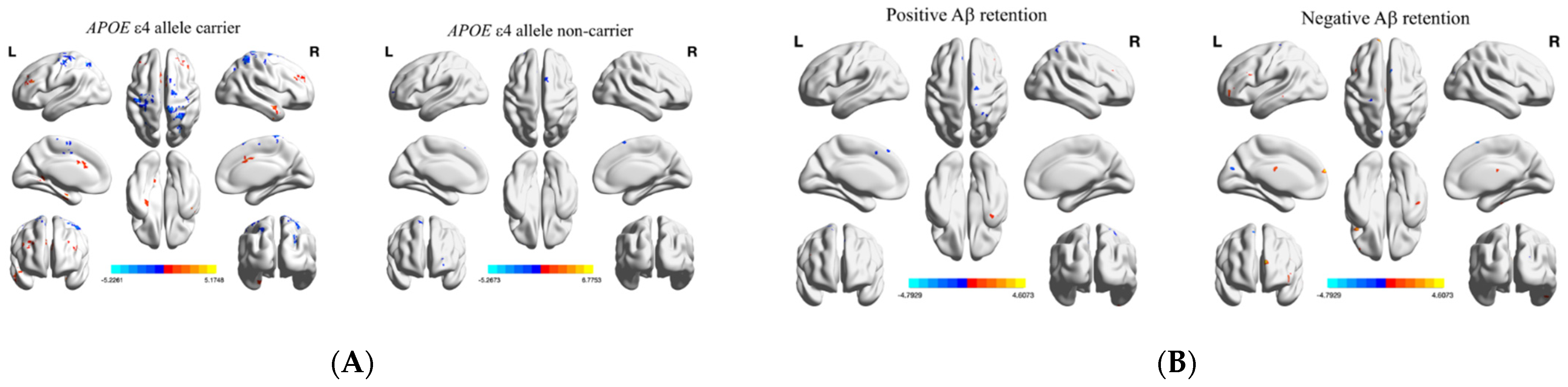 Brainsci 11 00772 g002